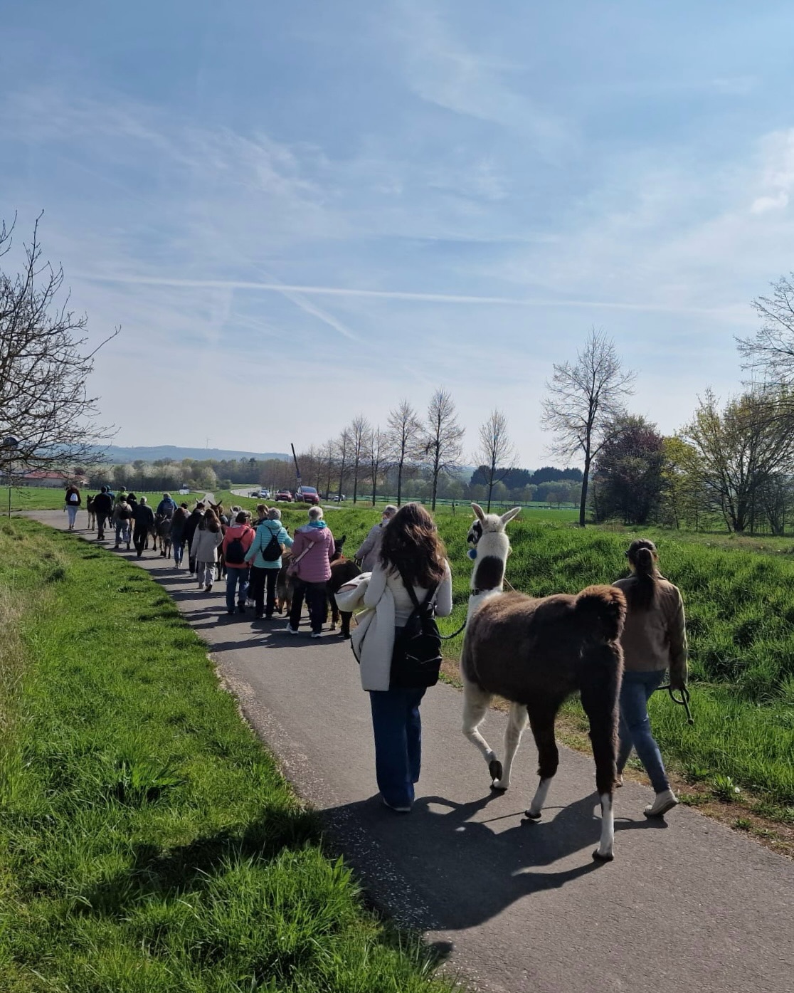 ☀️
Yeah 🫶
Beste Grüße von unserer tollen Samstagstour 🥰
Das war heute wieder so schön mit euch 🫏🦙!
Schön, dass ihr da wart!
🫶lichst, die Jungs 🫏🦙
#esel #lamas #alpakas #wandernmachtglücklich #frühling