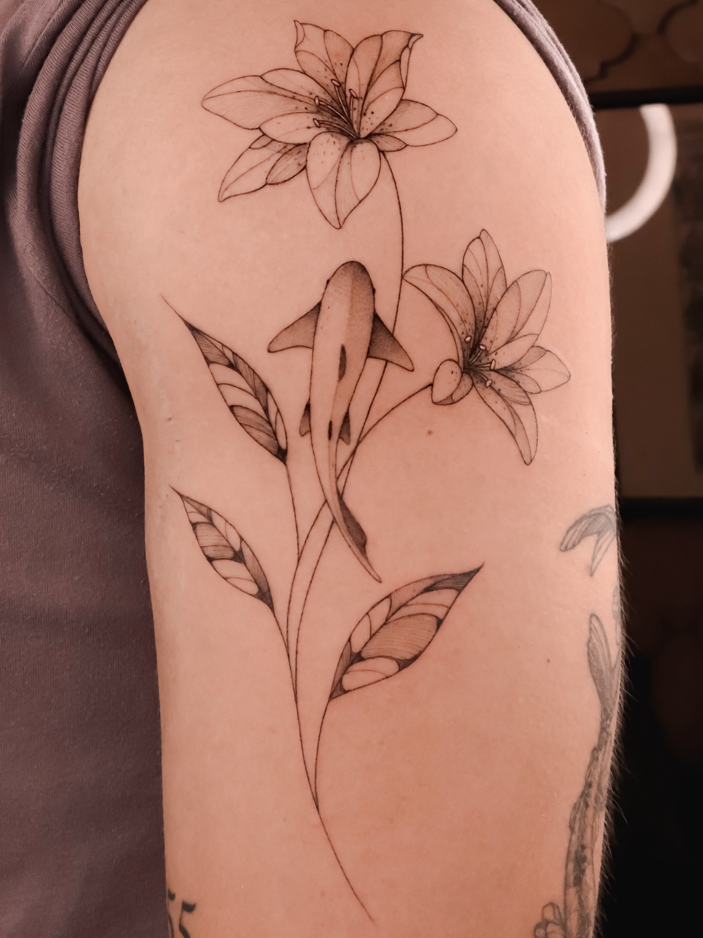 T I B U R Ó N Y L I L I E S
Gracias por confiar en mi con composiciones como esta, amo combinar ecosistemas 🫰🏻✨
#sharktattoo #lineafinatatuaje #finelinetattooartist #tatuadoramexicana #cdmxtattoo