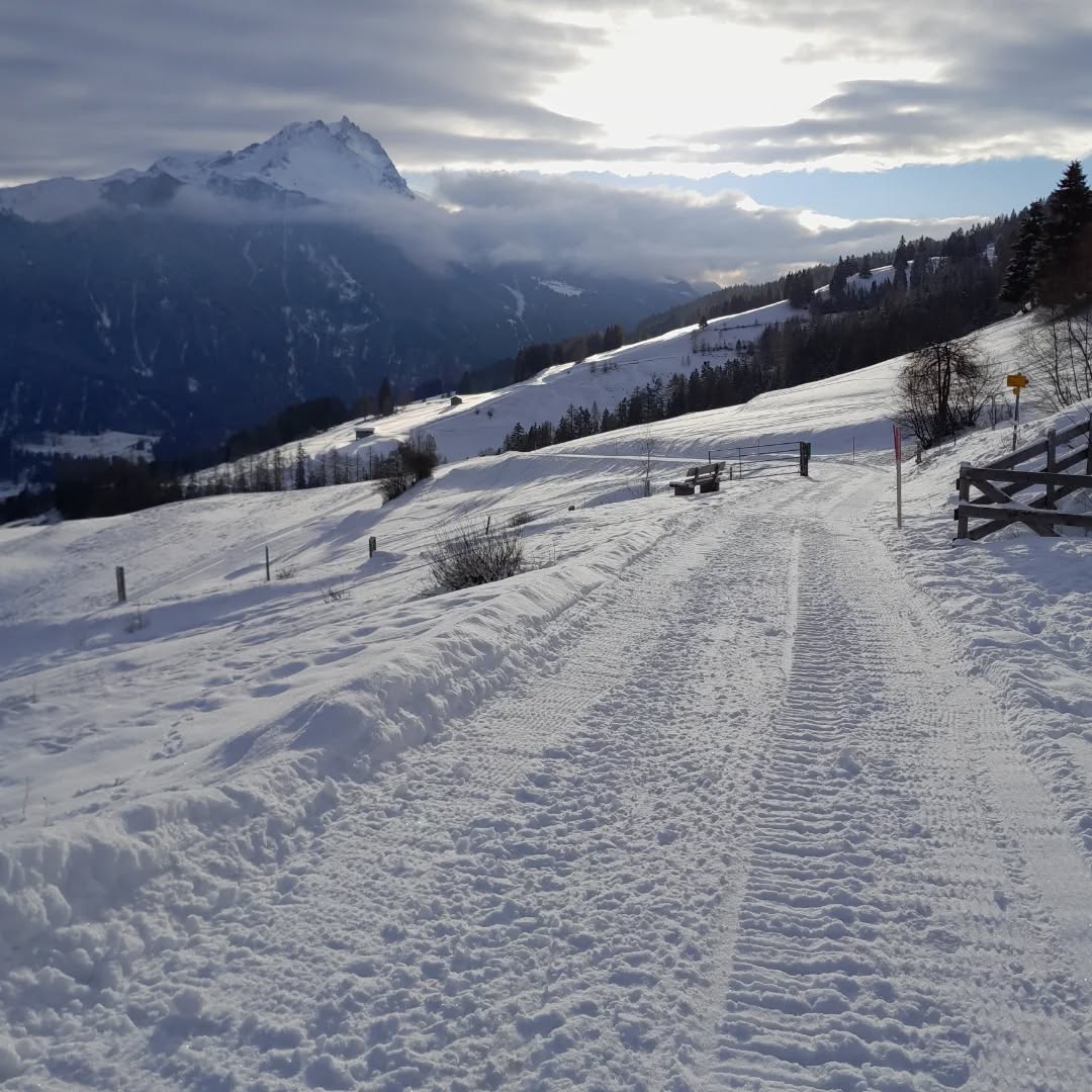Frisch präparierte Winterwanderwege und Schlittenpiste laden zu Spass und Vergnügen ein.
🧣🧤 nicht vergessen, "s isch chaibe chalt"! ❄️⛄️🥶😎
#uts #stierva #winterwanderwege #schlittenpiste #schneelandschaft #graubünden #bergdorf