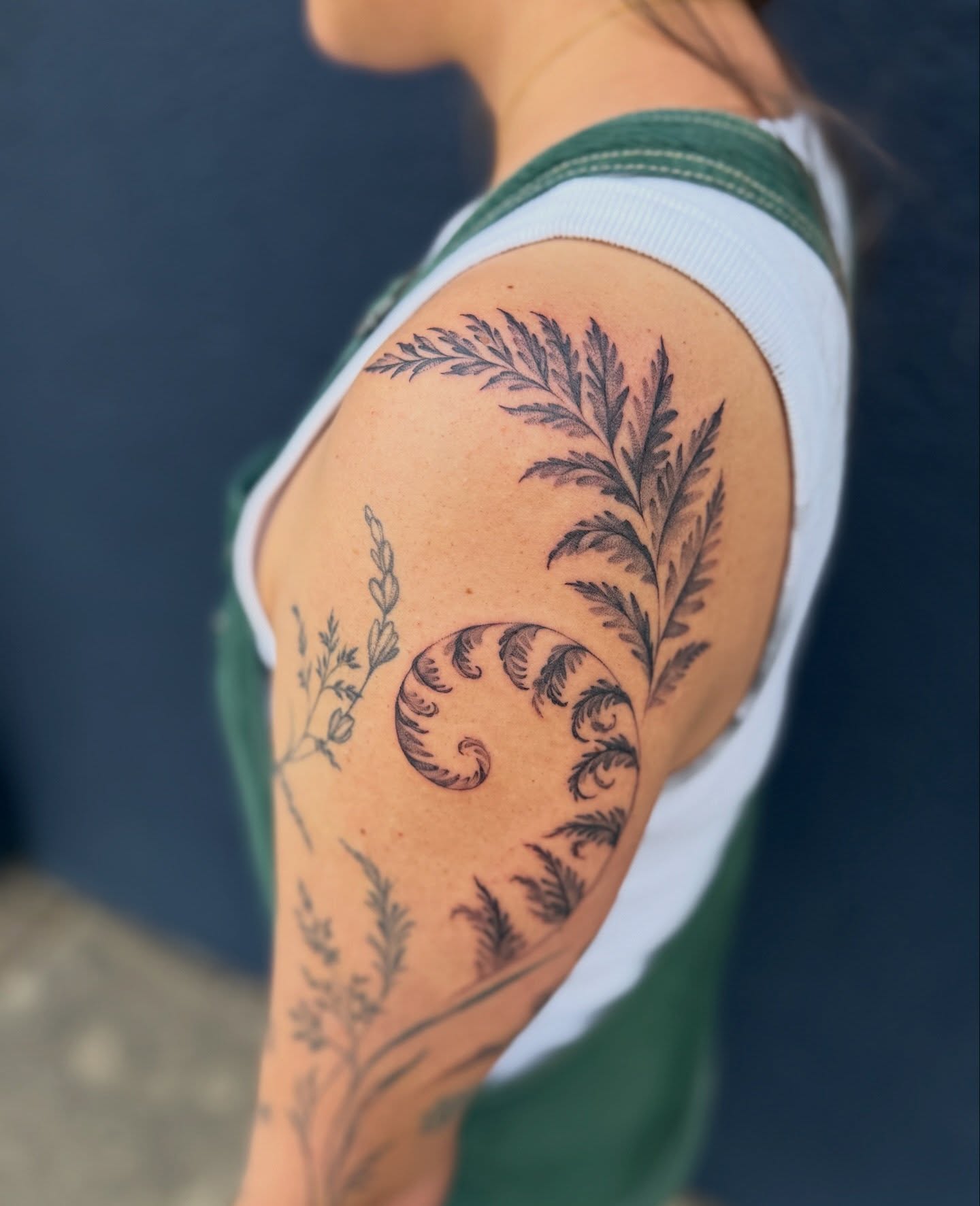 Pleaseee I want to tattoo more ferns, lol.
Couldn’t wait to share these pictures of Lindsey’s sleeve we’ve been working on little by little over the last few years - so happy with how it’s all coming together.
Thank you always for your trust and letting me do my thing! 🥹🫶🏻
Tattooing at @batandcavetattoo 🦇
Part of @pegasustattooandwellness collective ✨
Booking May - click the link in my bio!
#dallastattooartist #fern #botanicaltattoo #sleeve #ferntattoo