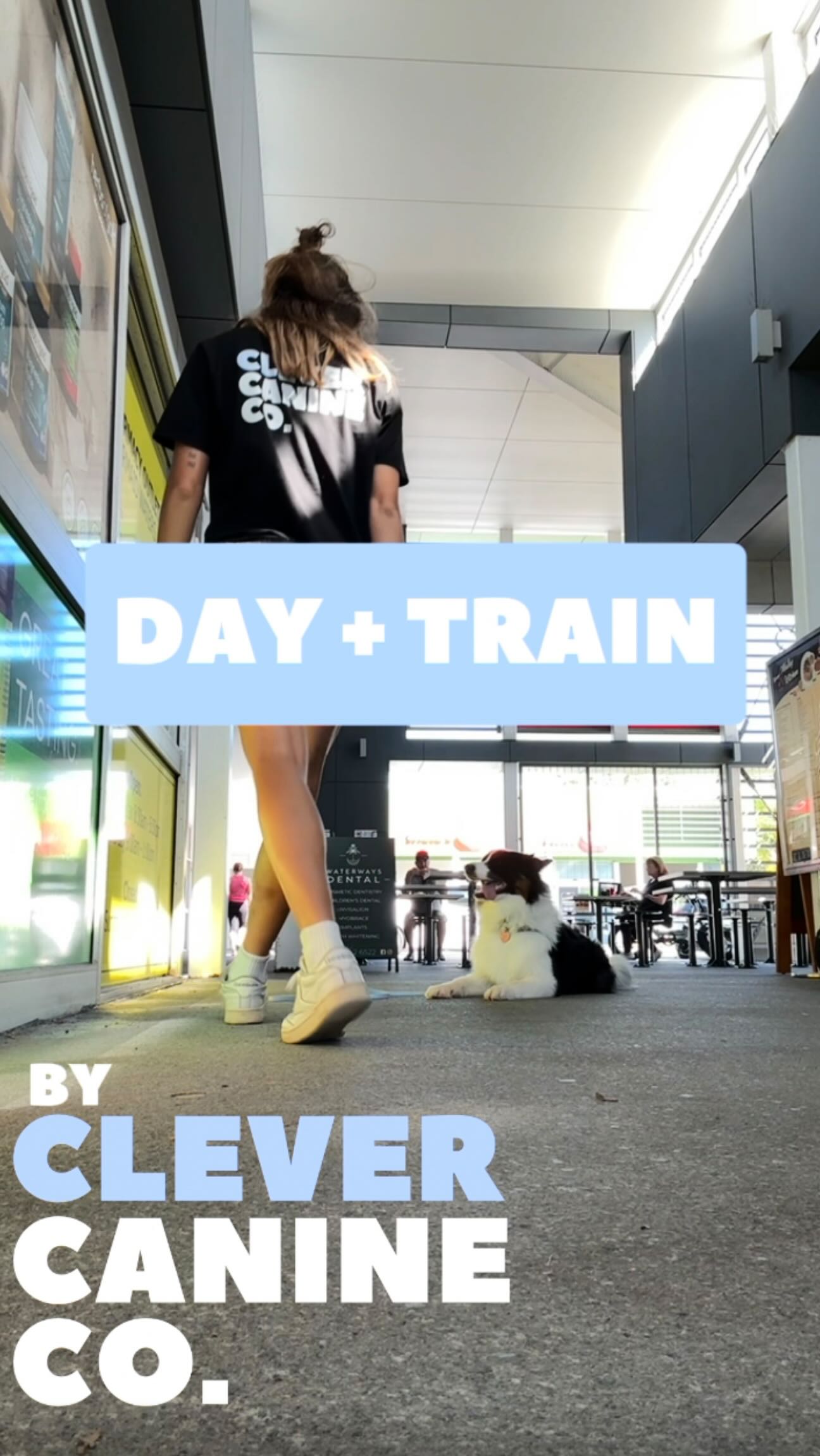 Busy schedule but still want a well behaved dog?
Our Day + Train program is designed for real life. We pick your dog up, take them out into environments like cafes, shops and public spaces, and work on calm behaviour, confidence and focus where it actually matters.
This isn’t just training, it’s a full, structured day that also includes enrichment like scent work, tricks and man trailing to keep your dog mentally and physically fulfilled.
Perfect for dogs who need help in public, around other dogs, or just need more than a standard walk.
📍 Gold Coast
🚐 Pick up & drop off included
🐾 Limited spots available
Currently only available on Fridays
Send us a message to see if it’s the right fit for your dog ❤️🔥