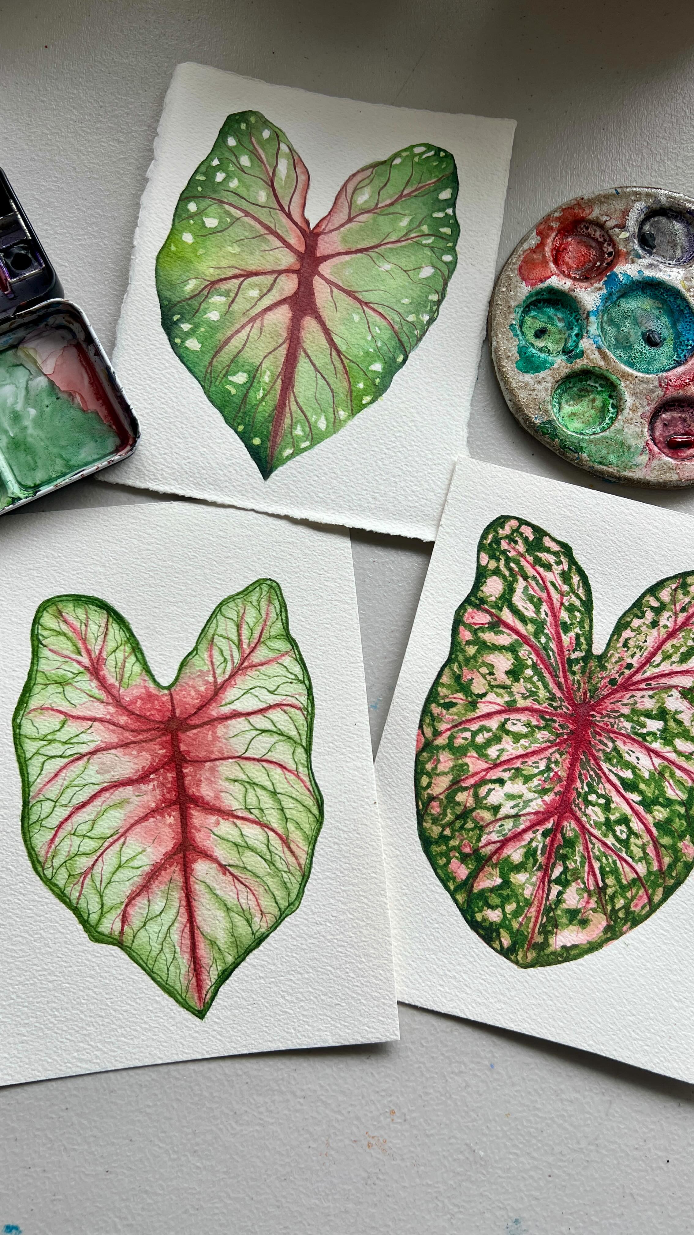 If you want to learn more about Botanical Watercolor, this Saturday I am hosting an online workshop on zoom. No experience needed. 💦🎨
Join us from the comfort of your home. Let’s paint together!
More details on my bio.
Much love;
Kai 🌱