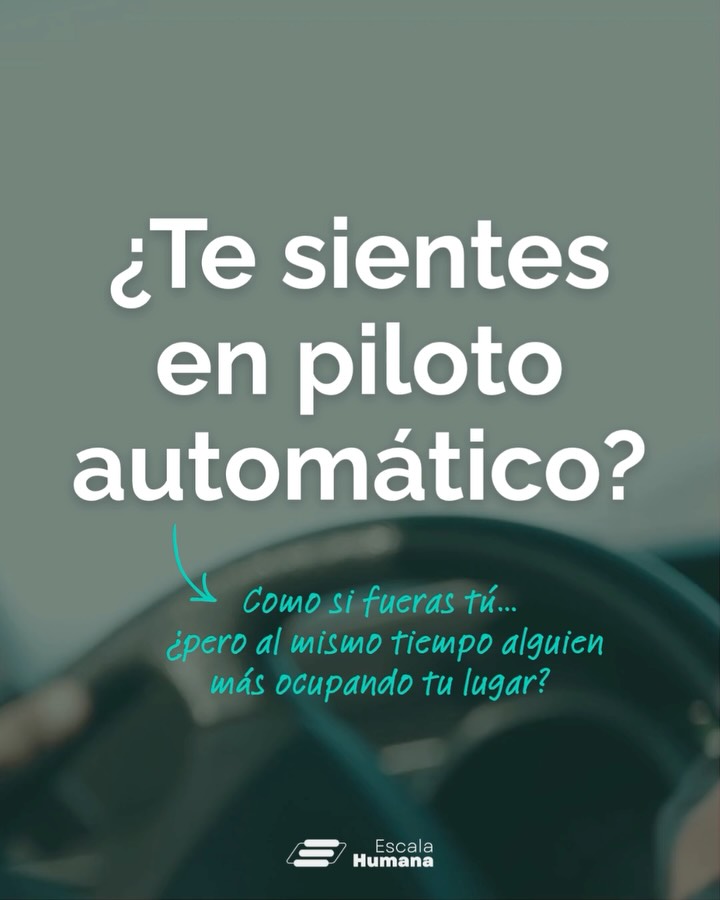 Si sientes que “todo está bien”, pero no se SIENTE bien… esto puede ser para ti.
El PFC (Programa de Formación como Coach) es un proceso profundo donde trabajas directamente en cómo estás operando hoy:
🧠 Cómo interpretas lo que te pasa (tus juicios y creencias)
👁️ Cómo estás percibiendo el mundo y a otros
👥 Cómo te estás relacionando (contigo y con los demás)
🏁 Cómo estás tomando decisiones —y desde dónde lo haces
Te desafía a cuestionar lo que hoy das por obvio, a salir del piloto automático y a hacerte cargo de la forma en que estás viviendo tu vida.
Es práctica, observación y trabajo real sobre ti. Para que dejes de reaccionar en automático y empieces a actuar con mayor claridad, coherencia y presencia.
✅ Acreditado por FICOP @ficop.international
📅 Últimos días para inscribirte!! Comenzamos en pocas semanas
Si esto resuena contigo, escríbenos a ehformacion@ehumana.cl