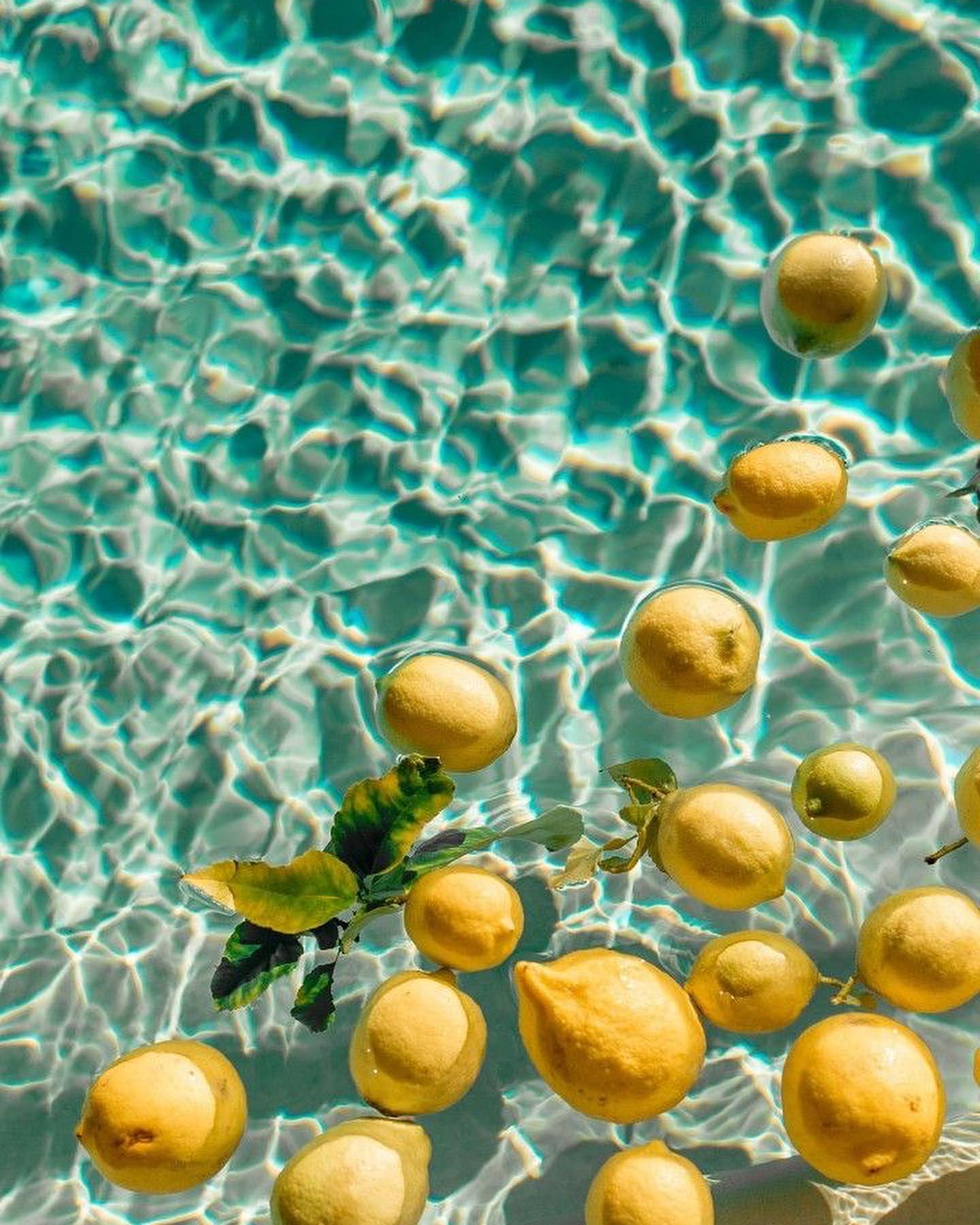 Inspirations for today 🌟🍋
Count down for finishing summer 23’ get your dream plan with us 🛥️🌟
Bookings +34 669 106 060