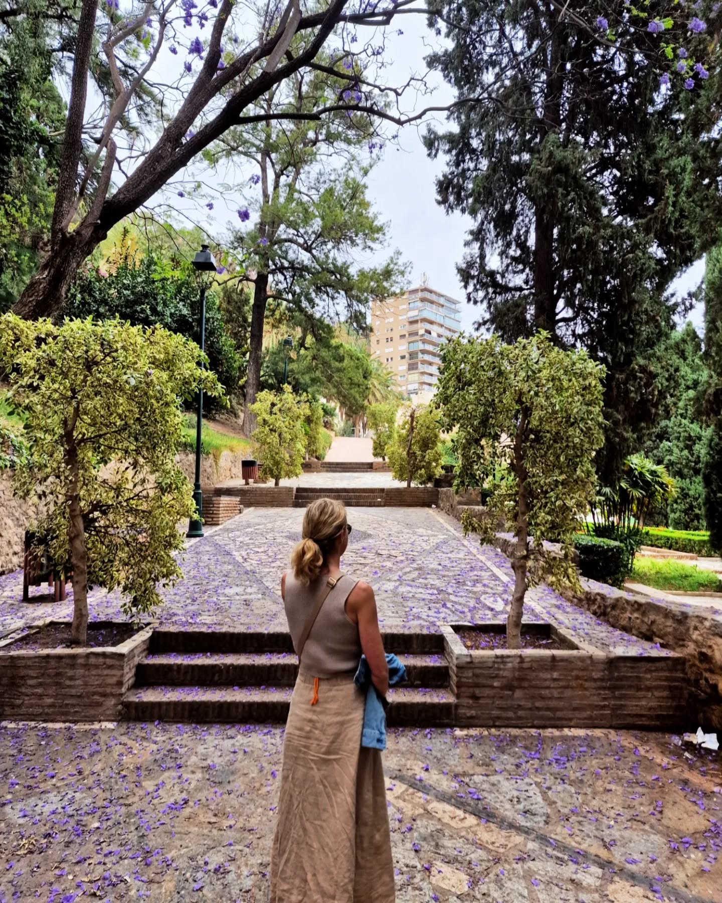 📍 The beautiful pathway up to Castillo de Gibralfaro 🔝
.
.
.
.
.
#lovingmalaga #malaga #malagalife #malagaturismo #malagaspain #málaga #malagatoday #andalucia #ckmalagalife #ok_malaga #ok_andalucia #españa #spain #estaes_malaga #visitspain #visitmalaga #costadelsol #ok_spain #photosofmalaga #malagaconacento #spain_all_pics #lateandalucia #summervibes #travel #travelphotography #livelovespain #latemalaga #enamoratedemalaga #castillodegibralfaro #latildedemalaga