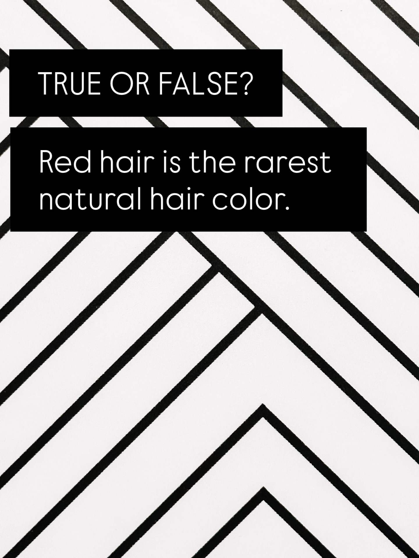 True or false?!
Swipe for the answer!
#redhair #true #false #rare #letteringredheaded