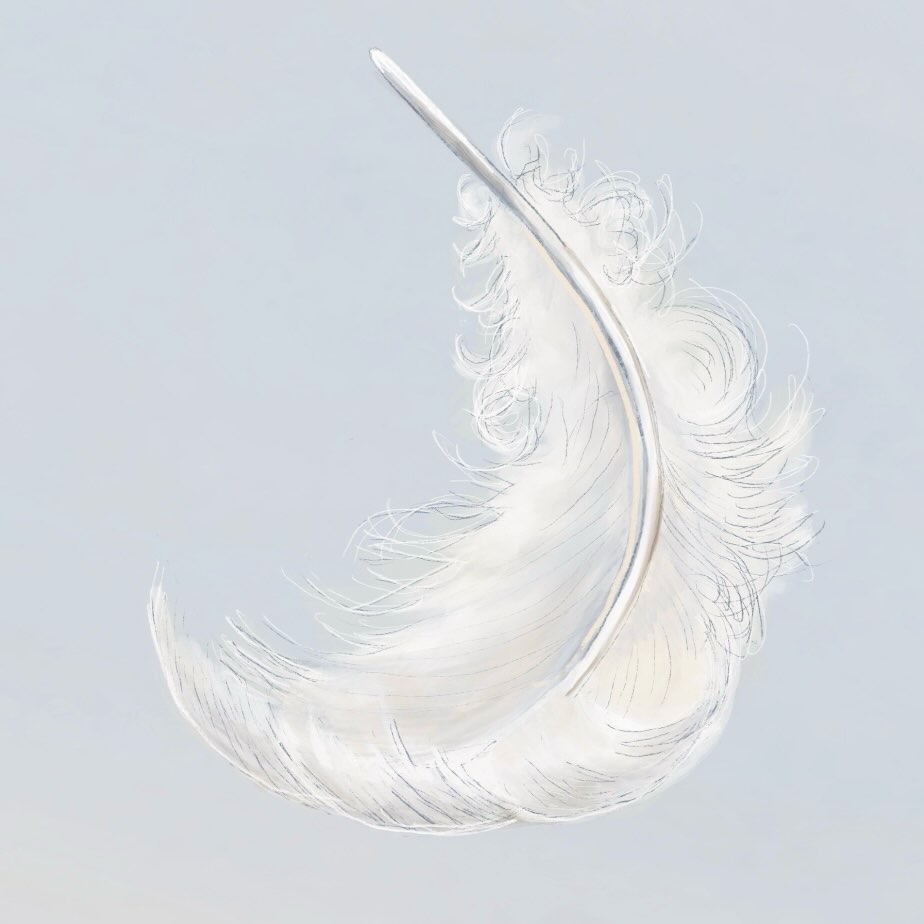 Changing and shaking out duvets led me to a small project watching and exploring the way feathers glide through the air finding somewhere to rest 🤍
-
-
-
#featherweight #peacefulliving #sympathycard #angelwings #kirstytoddillustration