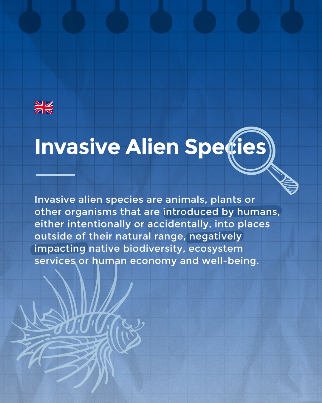 Oggi vi spieghiamo cosa significa specie aliena invasiva! 🔍Sono organismi introdotti in un ambiente che non è il loro, capaci di alterarne gli equilibri naturali.
Un concetto chiave per comprendere le sfide della conservazione marina!
~
Today’s word is invasive alien species 🔍 They are organisms introduced into environments outside their natural range, capable of altering ecological balance.
A key concept to u
#progettoMARE #CentroVelicoCaprera
#MarineResearch #RespectTheOcean
#OneOceanFoundation
A project by @cvcaprera
Scientific Partner @oneoceanfound