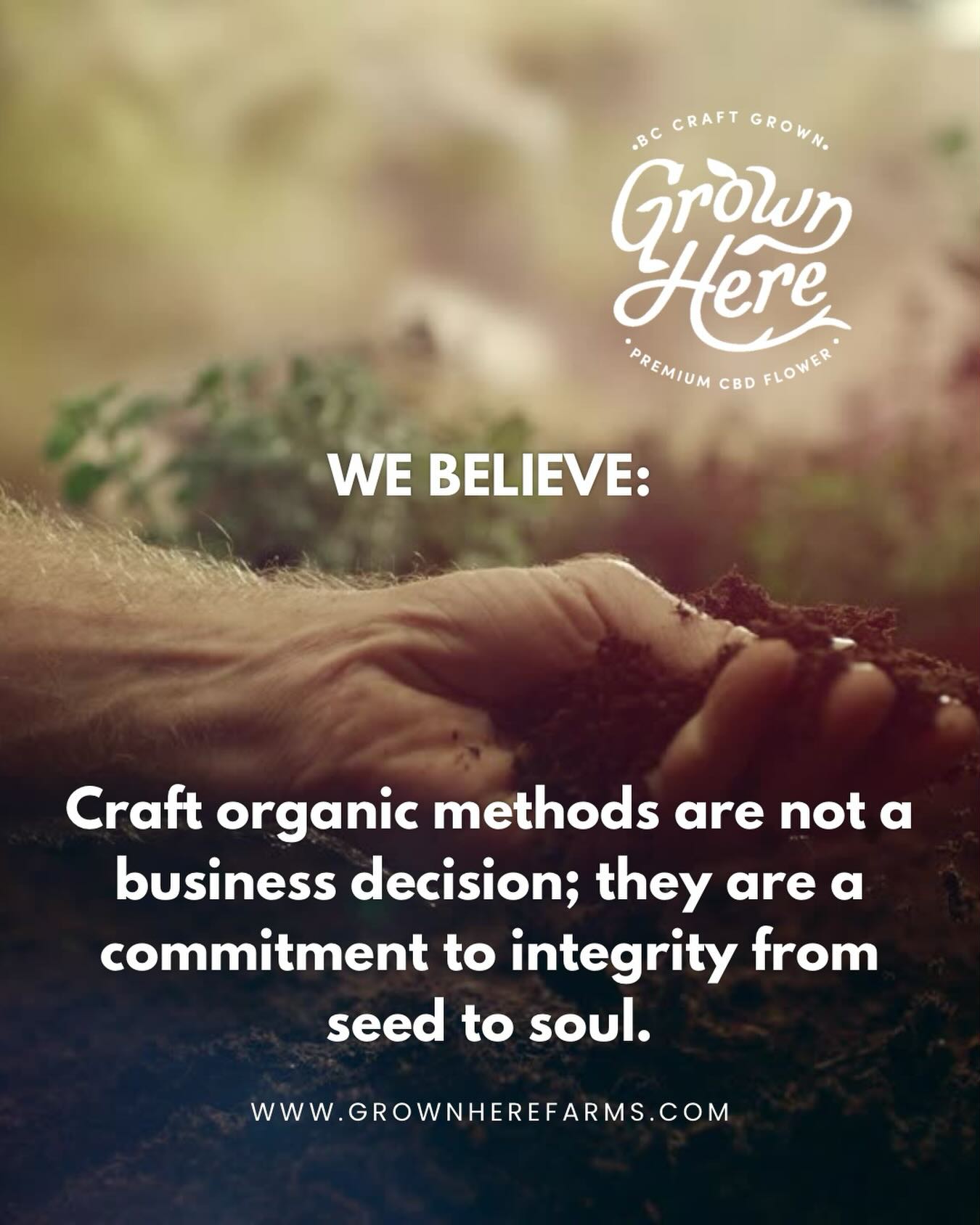 We have always believed in organic, regenerative and soil first farming methods. Long before it hit the mainstream. When we say from our soil to your soul….we hope you feel the love, care, intention and strength that comes with that message.
Growing organic and regeneratively, adhering to high standards of craft methodology - these require fierce dedication, unwavering commitment, forfeiting of profit for benefits and quality that no one ever sees or acknowledges and tenacity of spirit. These are warrior actions. Fierce actions - not fluffy ideals. We have to fight for them, against the grain, uphill and upstream.
#organiccbd #bestcbd #bestcbdproducts #bestcbdbrands