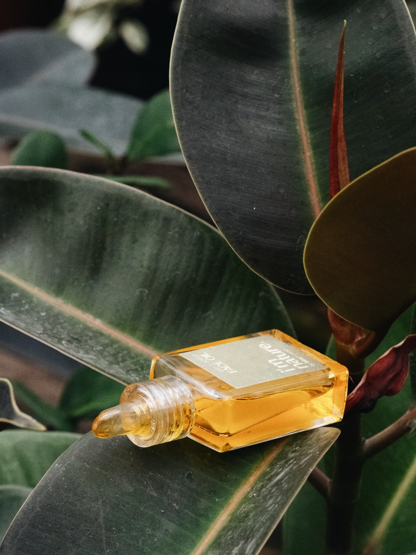 •10% OFF on ALL sets•
Armenian mothers’ day has ended, but our 10% off on all skincare sets continues!
discover our sets: the great four, the glow trio, the dream trio, the solar pair lip care set, root & renewal hair care set and our newest; the skin wellness combo
🌱 at its core is the bio+active face oil; a highly intentional blend designed not to sit on the skin, but to work with it
rich in active botanicals, it supports barrier repair, improves elasticity, and restores a natural, healthy radiance without heaviness
it adapts to your skin’s needs, helping to calm, replenish, and deeply nourish over time
💛 paired with it is the kansa gua sha; crafted to stimulate microcirculation, support lymphatic drainage, and release built-up tension, it enhances the absorption of the oil while sculpting and awakening the face
together, they shift skincare from a routine into a ritual
this set has already redefined how many of you see bba. not just as products, but as a practice of intentional, non-toxic care 🌸
today is the last day to get all our sets with 10% OFF 🔗 imnature.com