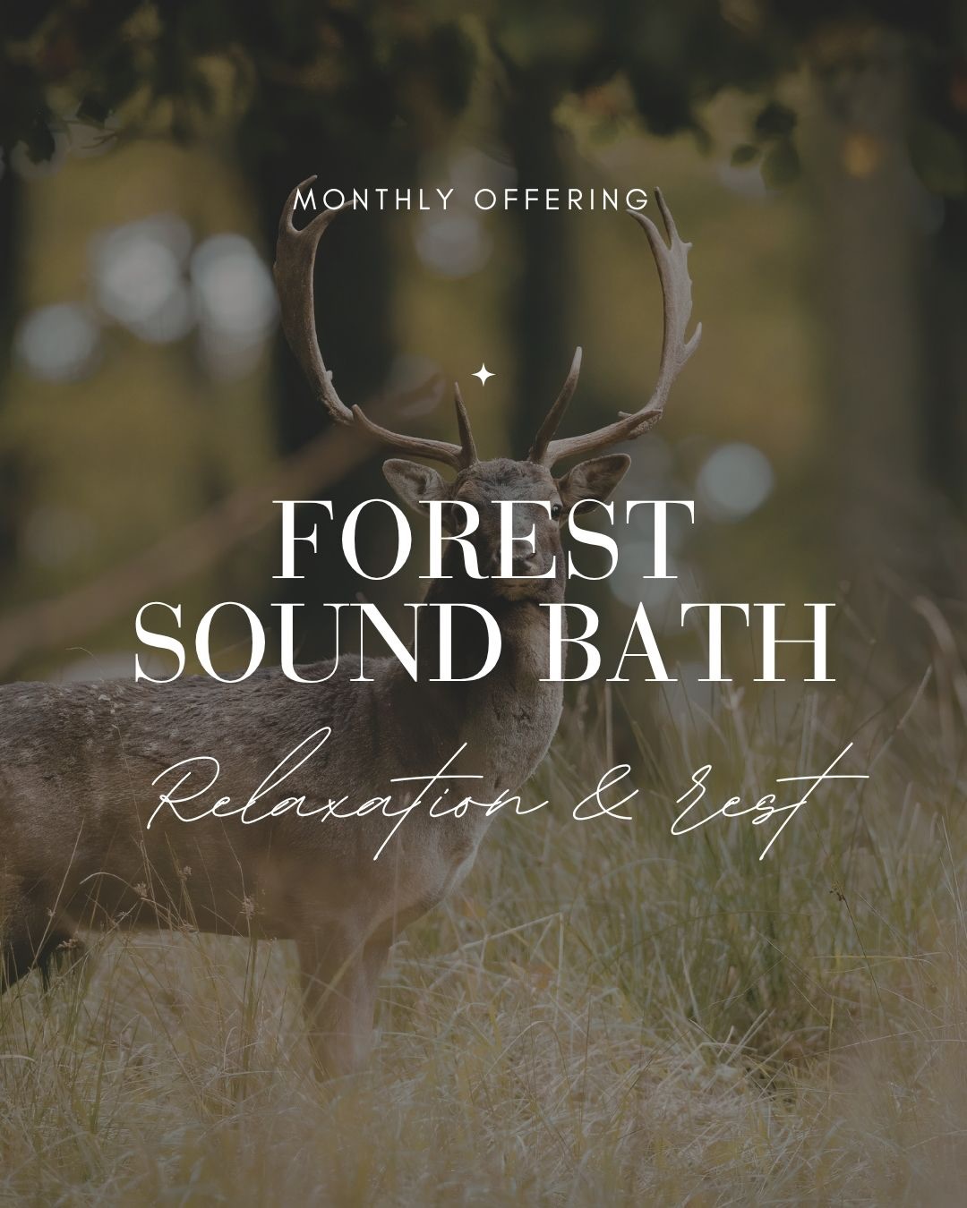 Upcoming Sound Baths - Wyre Forest 🌳
Sound bathing in the forest is just so beautiful, I feel blessed to call the @wyreforestfe space my home where I share my offerings. When the forest falls into the energy of sunset it becomes the perfect backdrop to hear the birds, watch the changing light and quietly sit within the energy of Mother Earth.
Upcoming dates:
26th April 6.45-8.00pm
17th May 6.45-8.00pm
7th June 6.45-8.00pm
For any details or booking:
www.wildloveyoga.com
Sending you so much love this week,
V x 🌳
#wildloveyoga #wyreforest #soundbath #worcestershire #shropshire