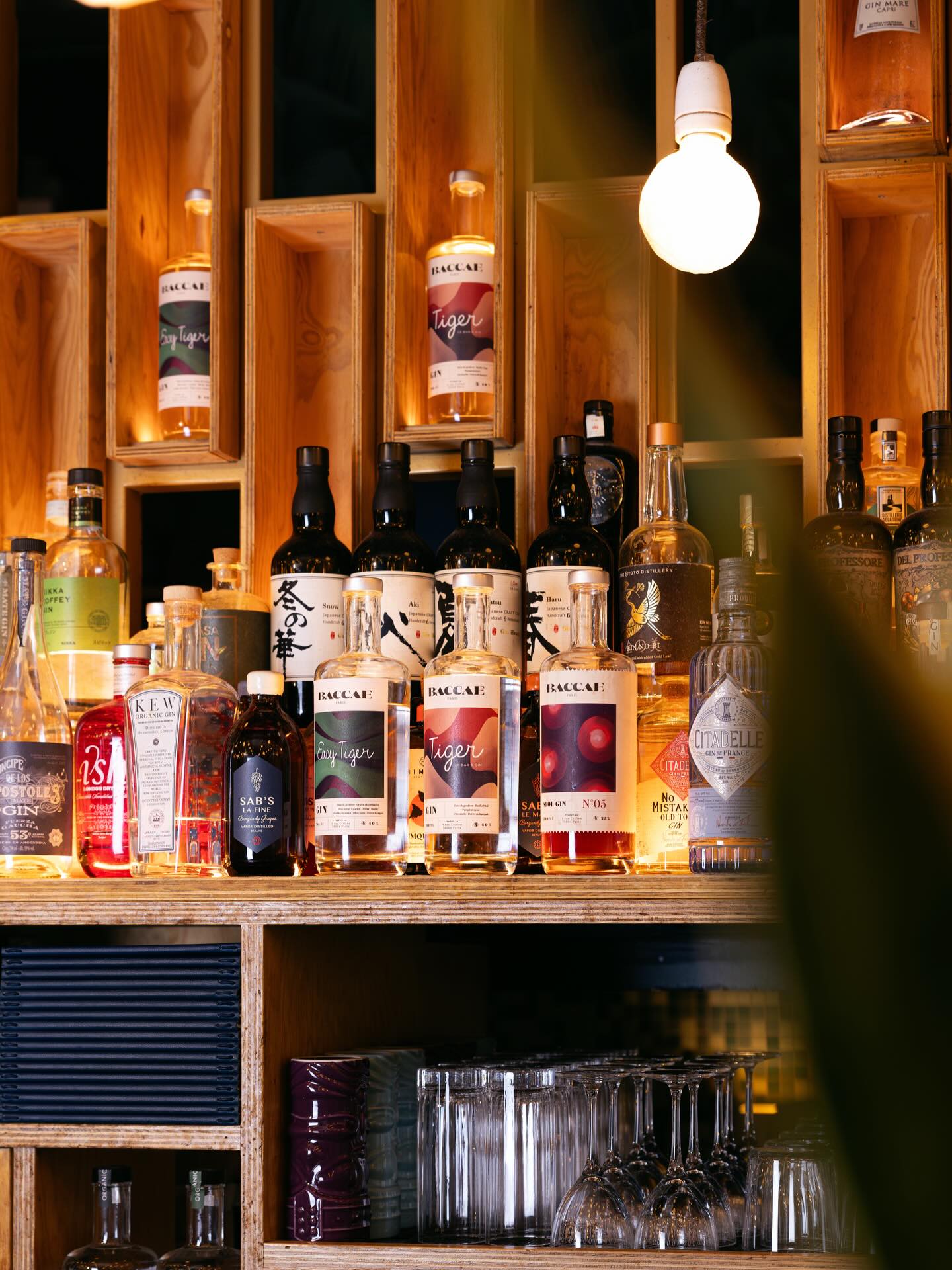 Tiger x @baccaeparis
📸 @desprezmarie.studio