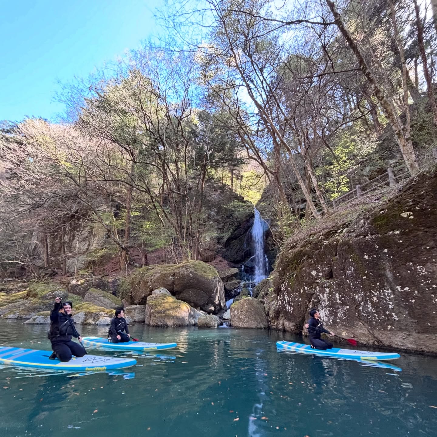 本日、無事にSUPシーズンインしましたー
緑