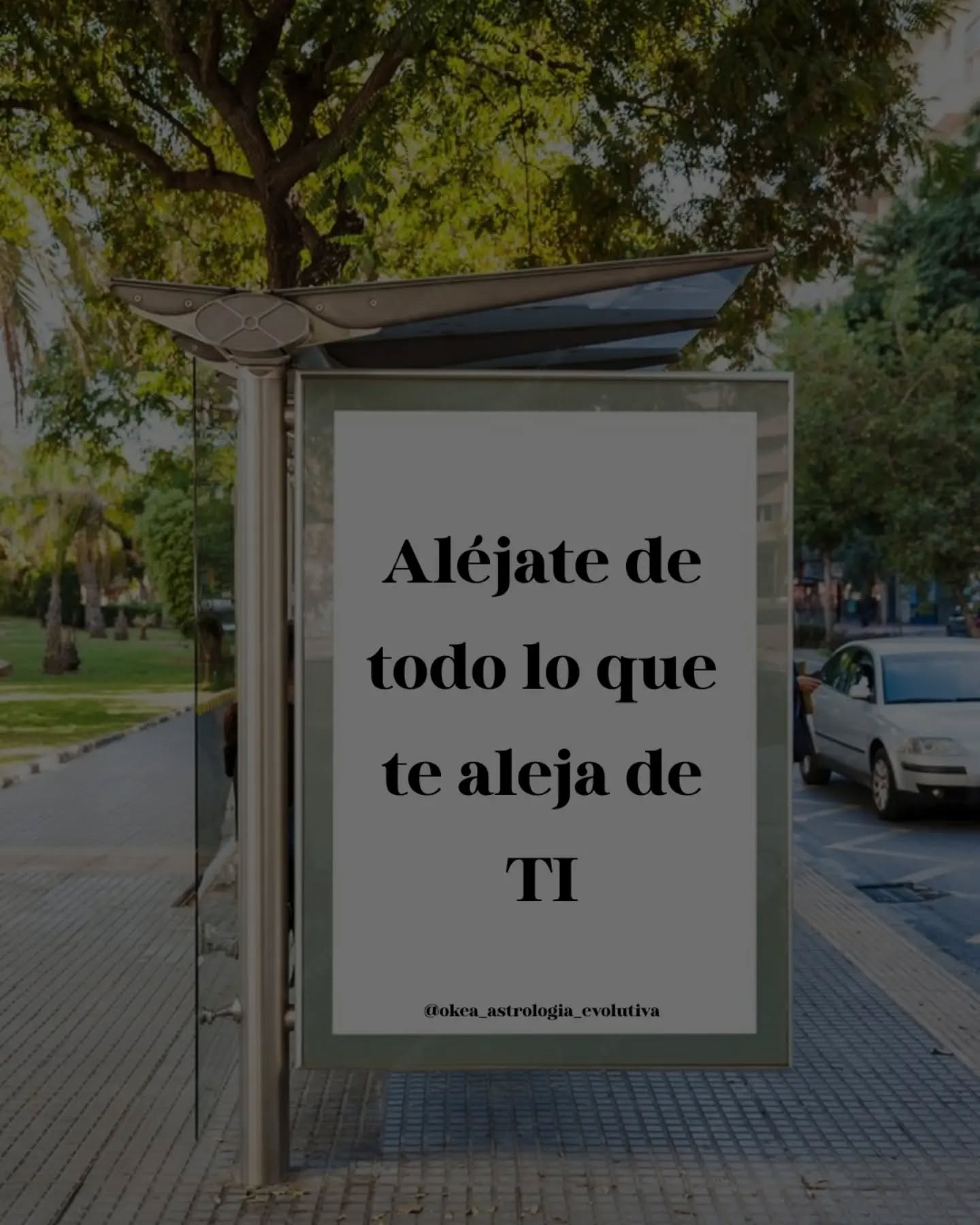 Volver a mí es volver a darme cuenta que en un nivel transcendetal soy un cuerpo de energía inagotable y toroidal mente reciclable, más en otro más mundano, mí energía es finita y pasible de agotarse.
Volver a mí es darme cuenta que a dónde va mí atención es a dónde redirecciono mí vitalidad y que con el pasar de los años, se me hace cada vez más difícil volver a energizarme después de situaciones que me drenan.
Volver a mí es conocer con lujo de detalles que situaciones y personas me vampirizan, y ser consciente si estoy disponible para jugar a "Drácula y sus amigxs"
Volver a mí es reconocer que aunque sea sociable y trabaje con muchas personas todos los días, mí gran medicina es mí soledad y mí necesidad de replegarme y ensimismarme como tortuga.
Volver a mí es desarrollar el auto sostén emocional, cortando con la algas pegajosas de la dependencia hacía otrxs, que en el afán de estar acompanadx, me diluyo como gota de agua que cae al océano.
Volver a mí es darme cuenta los niveles de fusión y apego con los que me relaciono y aún así, aprender a poner límites claros con mí tiempo y energía.
Volver a mí es pararme enfrente del otrx y buscar las mejores maneras para transmitir mis incomodidades y vulnerabilidades.
Volver a mí es reconocer que el amor se trabaja pero que no cuesta trabajo.
El amor es suavecito, calentito, se riega y florece.
No marchita, no consume, no angustia.
Volver a mí es reconocerme templo sagrado y que puedo cuidarme cuando suelto el arquetipo de la enfermera del amor y me enraizo en la sacerdotisa del amor.
Aquella que sabe y reconoce que el tiempo es preciado y a quien o a que se lo entregamos, depende nuestros niveles de energía Vital, por ende, de vida.
⚜️ Nos vamos acercando a la luna Nueva en Aries en conjunción con Quién, mientras que marte dialoga con Saturno y Neptuno y Venus se encuentran en cuadratura con Plutón en acuario.
Al parecer hay un llamado a despertar a nuestro Aries más maduro que entiende que mientras más enraizada en vos, más amor podes ofrecer al mundo. Pues no se puede dar lo que no se tiene...y si eso sucede, corres el riesgo de empezar a marchitarte⚜️
Flor❤️
¿Como lo venís sintiendo? 👁