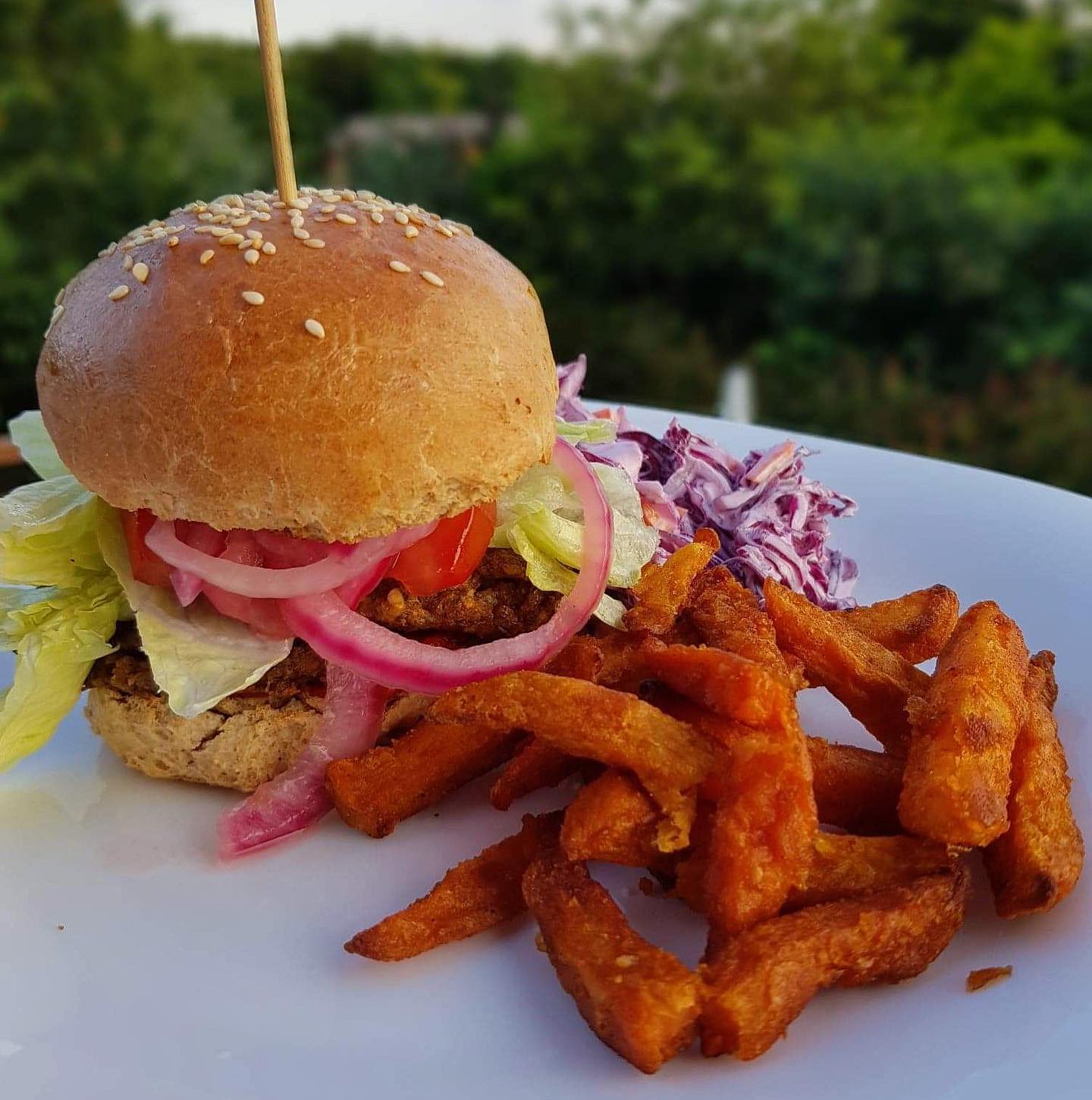 Egy igazi, házi készítésű vega hamburger édesburgányaval🍔🍟 🍅🥬
🍅Friss paradicsom, saláta, hagyma és Vargánya gombás fasírtporból készült pogácsa a valódi street food hamburger élményért🍔
Ki harapna belőle egy hatalmasat?🍽
Köszönjük a fotót @zitaavar 😊😊
#denesnatura #vargányásfasírt #vega #hamburger #édesburgonya #reformreceptek #grillparty #mutimiteszel
