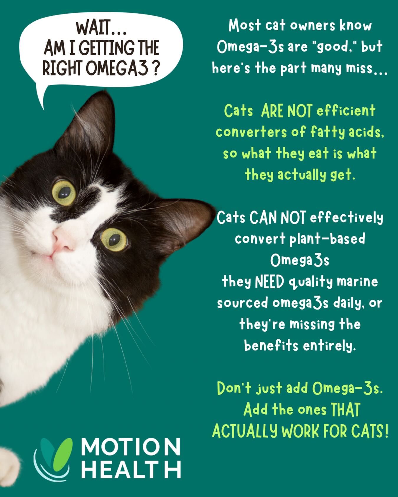 Ok Cat Parents… it’s Feline Fine Friday. 🐈
Unlike humans (and even dogs to some extent), cats have a very limited ability to convert plant-based Omega-3s (like ALA from flax) into the biologically active forms:
* EPA (eicosapentaenoic acid)
* DHA (docosahexaenoic acid)
* ETA (eicosatetraenoic acid)
That means if these aren’t directly included in their daily diet, your cat is likely not getting meaningful anti-inflammatory support at all.
What’s often overlooked (and important):
Chronic low-grade inflammation is common in cats, even when they seem “fine.”
•Aging
•Indoor lifestyles
•Processed diets
These quietly drive inflammation that shows up later as:
* Joint stiffness (often mistaken as “just slowing down”)
* Skin issues or over-grooming
* Kidney stress
* Reduced mobility or play
ETA is almost impossible to get unless you’re feeding a specific marine source, green-lipped mussel (Perna canaliculus). Not typical fish oils. This is why many standard Omega-3 supplements fall short for joint-focused support.
Even a high-quality diet may not provide therapeutic levels of EPA, DHA, and especially ETA.
It’s not just “Omega-3s matter.”
It’s which Omega-3s, and whether your cat can actually use them.
#felinefinefriday #omega3s #greenlippedmussel #preventrepairrestore