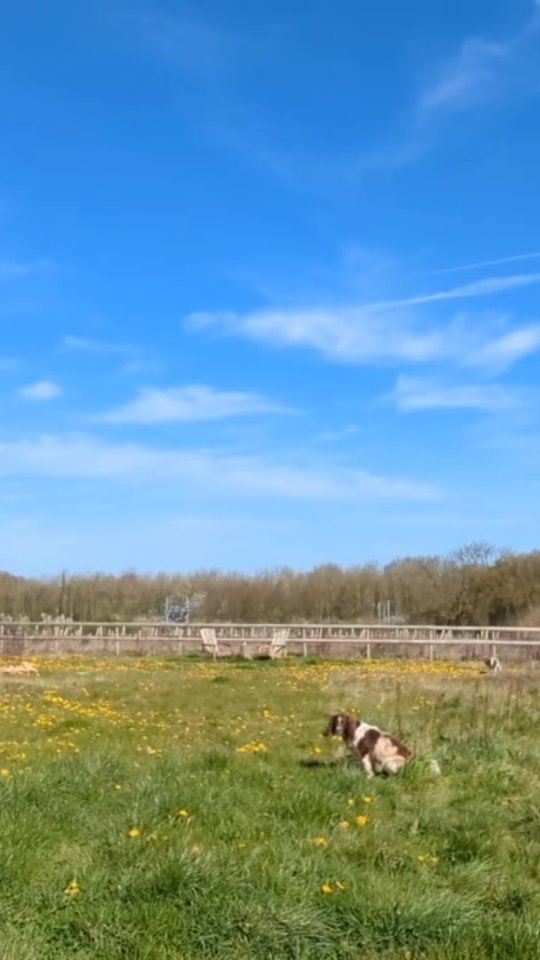 What a day! 🌞🌞