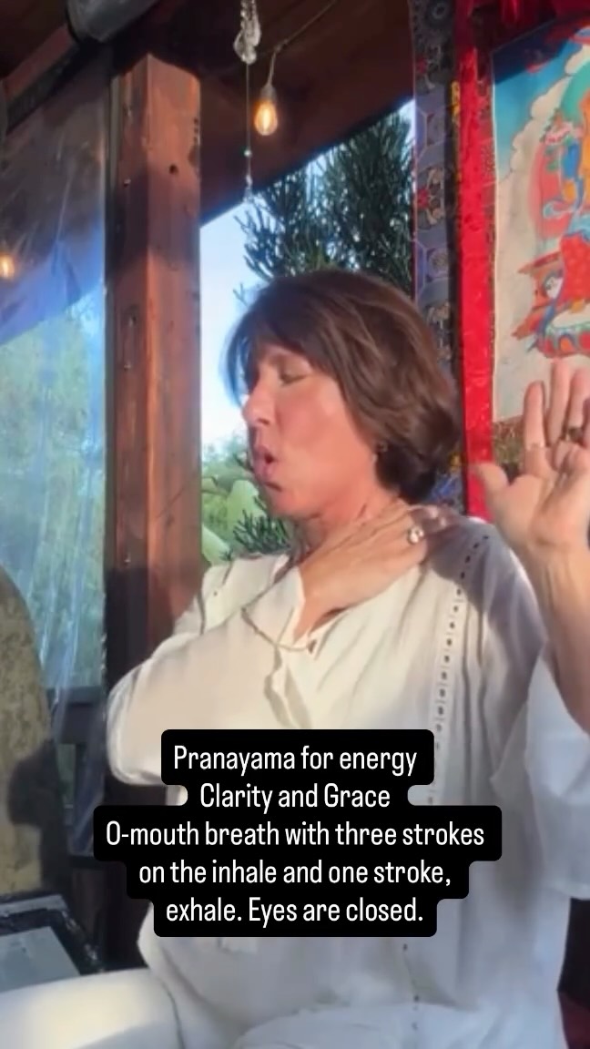 For this pranayama Kriya , sit straight in a cross legged position or in a chair. Place the left hand around the top of the right shoulder. Raise the right hand in front of the right shoulder palm facing forward like you’re taking an oath. Make an O of your mouth and powerfully breathe through it by inhaling with three strokes and exhaling with one stroke. Continue for 11 minutes breathing strongly during the last two minutes. To end in Hale deeply and hold the breath and stretch the spine, pulling the chest out and stretching in the arms overhead spreading the fingers wide like steel exhale, and repeat two more times. Join us online or in person for Kundalini Yoga breath work and sound healing every Wednesday and Sunday at 9:30 AM check out our upcoming training, trainings and current trainings on our website www.communiteayoga.com #KundaliniYoga #Pranayama #Clarity #Grace #NervousSystemBalance