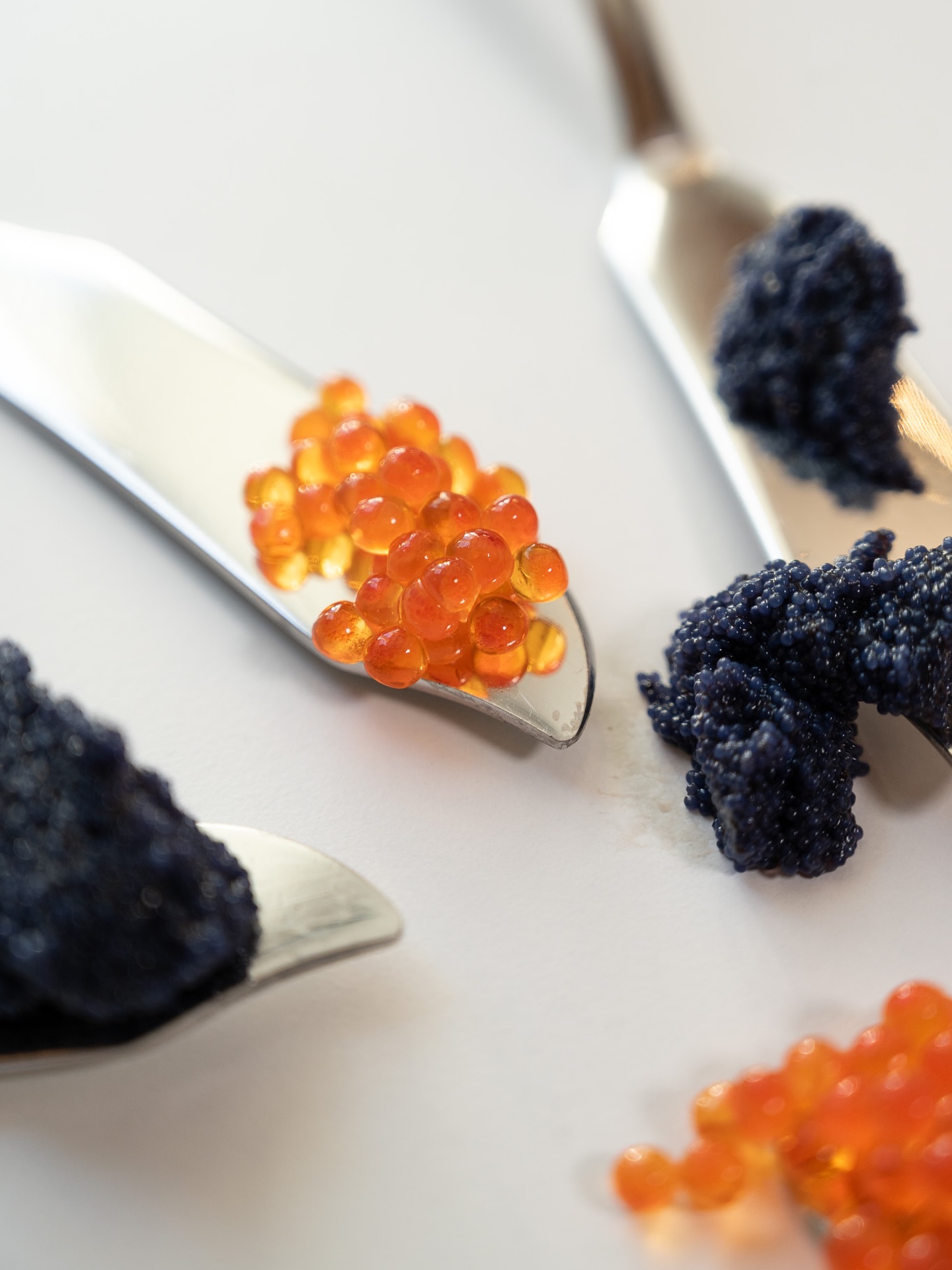 Come for a Bite - Stay for the Night
So excited to welcome you all tonight!
Finally. We Are Open.