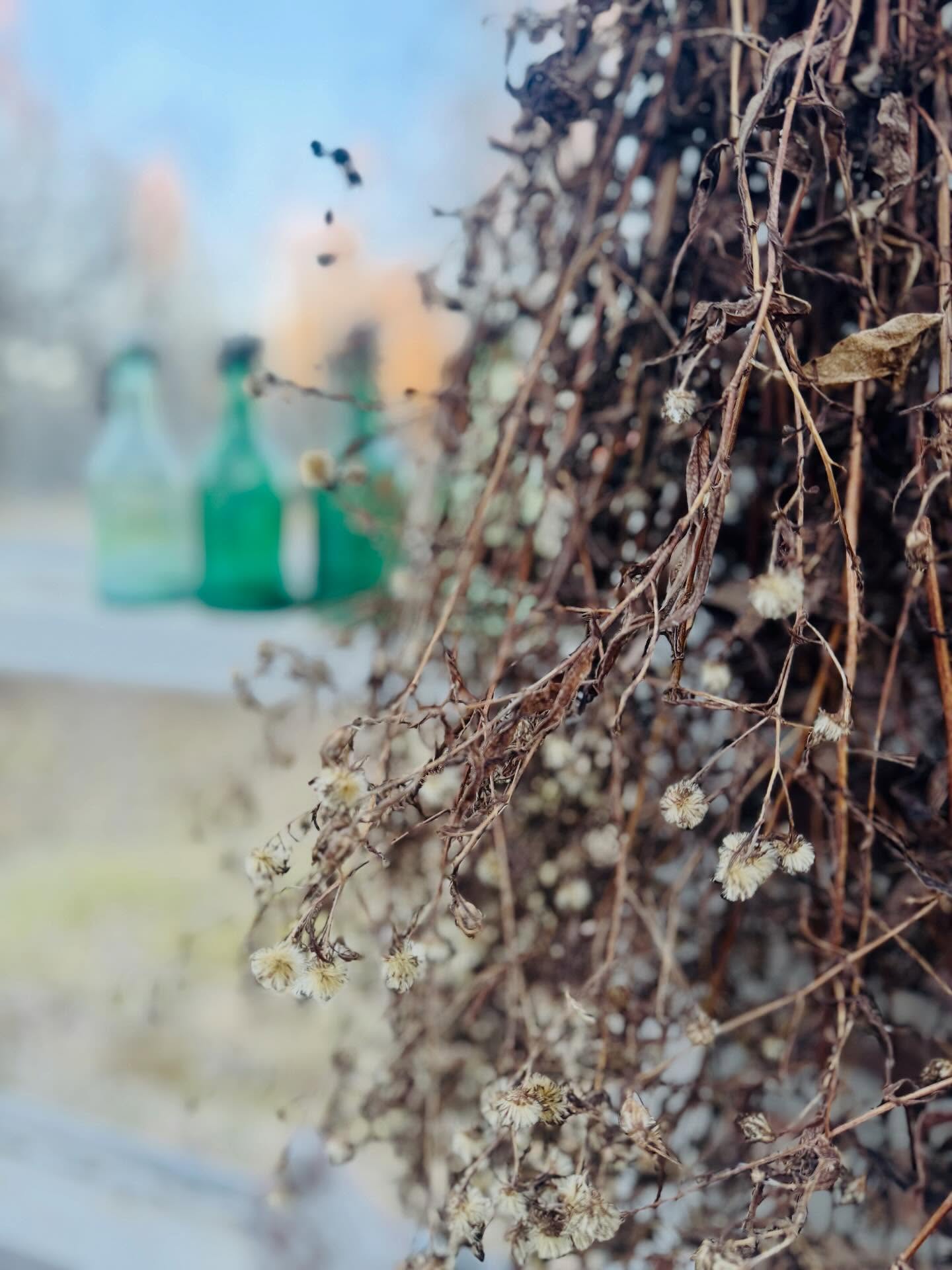 Vanhoja vihreitä pulloja.