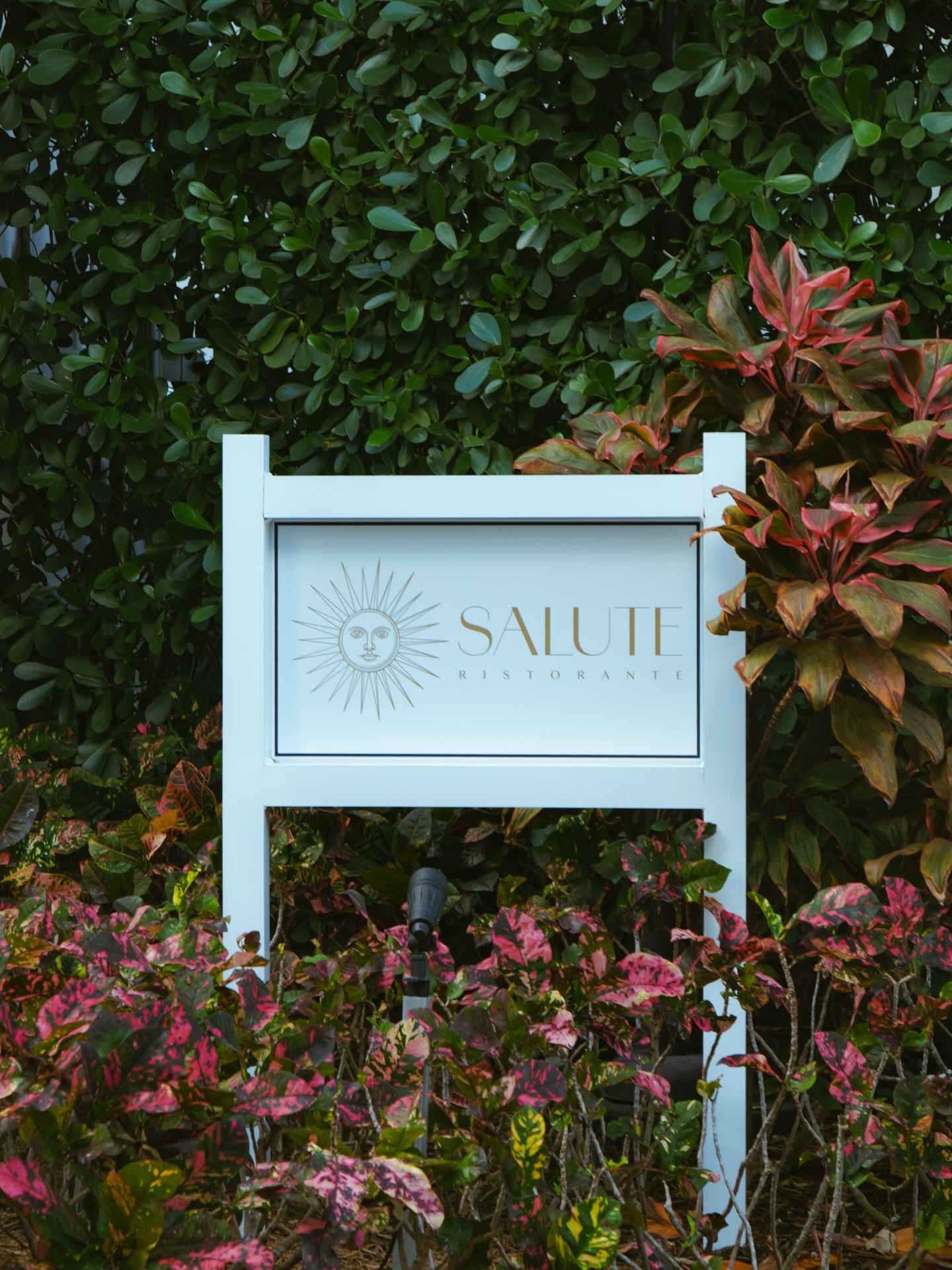 Sundays, reimagined with elegance ✨
A table set beneath the palms, where time slows and every detail is designed to be savored, from the first pour to the last course.
Join us this Sunday at Salute Ristorante.
•••
#saluteristorante #sundayinpalmbeach #italianelegance #finedining #palmbeachlife