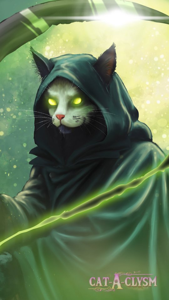 He comes for your soul... and your snacks 💀🍬
I kinda fell in love with this guy 😅 Tell me truthfully, would you pet him?
#catsofinstagram #cathumor #artoftheday