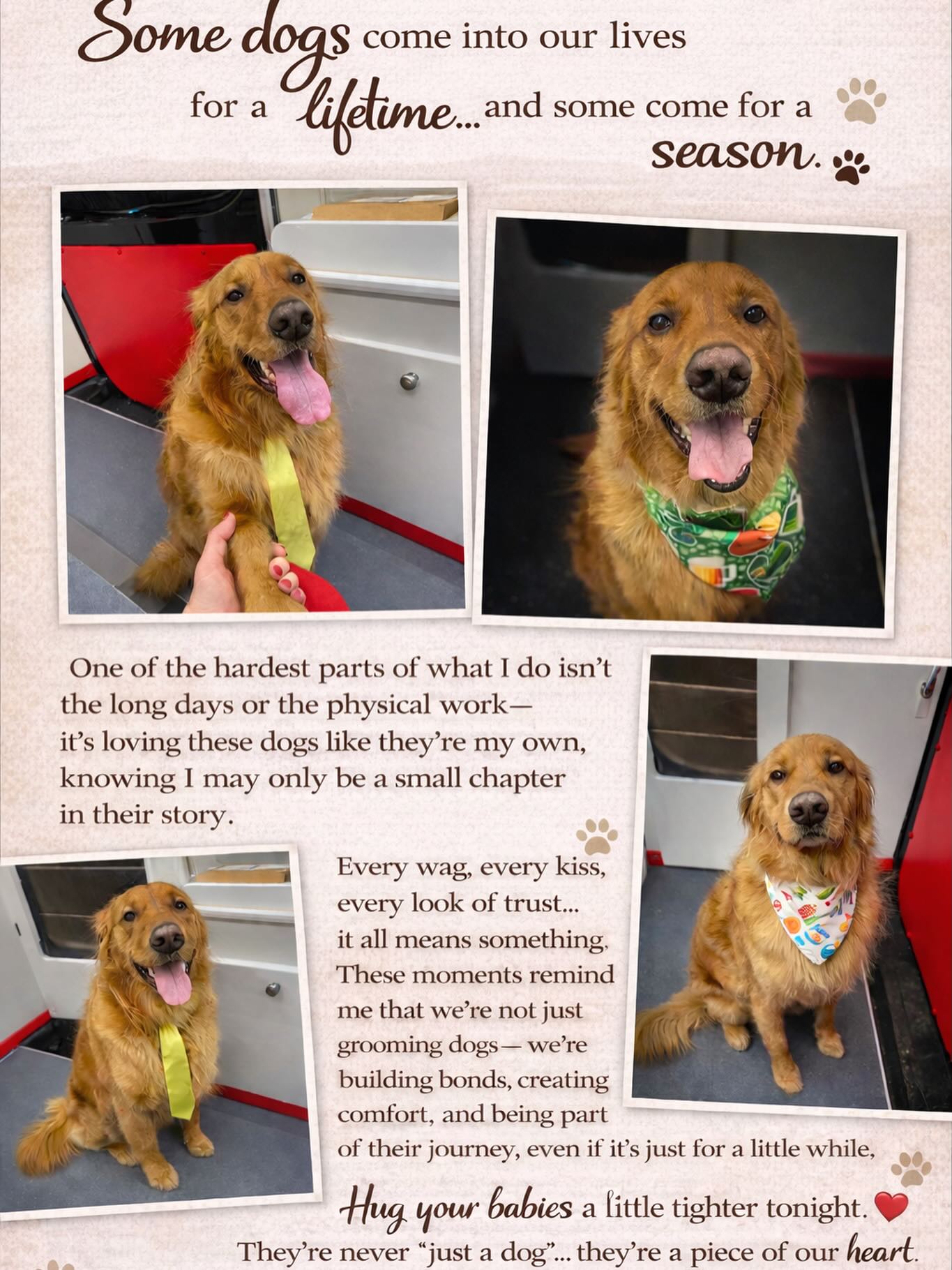 I will miss this guy!! 🥰🥰 Have fun in North Carolina buddy! #fyp #dog #goldenretriever #newchapter #hair