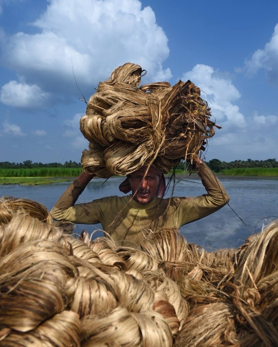 presents LAND, LABOR, AND THE GOLDEN FIBER by Rajesh Dhar @rdp5.6
———————————————————————
“Jute is a 100% recyclable natural material. Transitioning to alternative sustainable materials can help mitigate the carbon intensity associated with plastic production and its impact on climate change.”
———————————————————————
In the jute fields of West Bengal, Rajesh Dhar documents a material that has supported communities for generations. His photographs show how land and work are connected, and how this “golden fiber” continues to play a role in more sustainable ways of living. By photographing within these environments, he captures how traditions continue in the present through everyday labor.
———————————————————————
View Rajesh’s photographs and read their story on the website.
LINK IN BIO >>>
———————————————————————
Do you have a story to share? SUBMIT your idea and photos to us on the website.
•
www.thepictorial-list.com
•
#pictorial_stories
—————————————————————
#rajeshdhar #india #thepictoriallist #pictorialfoundation