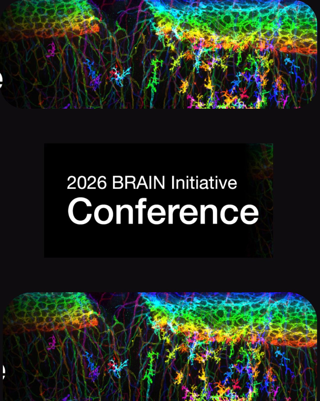 🧠✨ 2026 BRAIN Initiative Conference ✨🧠
📅 Aug 11–13, 2026
📍 Rockville, MD
🏨 Bethesda North Marriott
Registration is officially OPEN!
🔗 Register now and join us for an inspiring few days of science, collaboration, and discovery.
#Linkinbio
#BRAINInitiative #Neuroscience #BrainResearch #ScientificConference