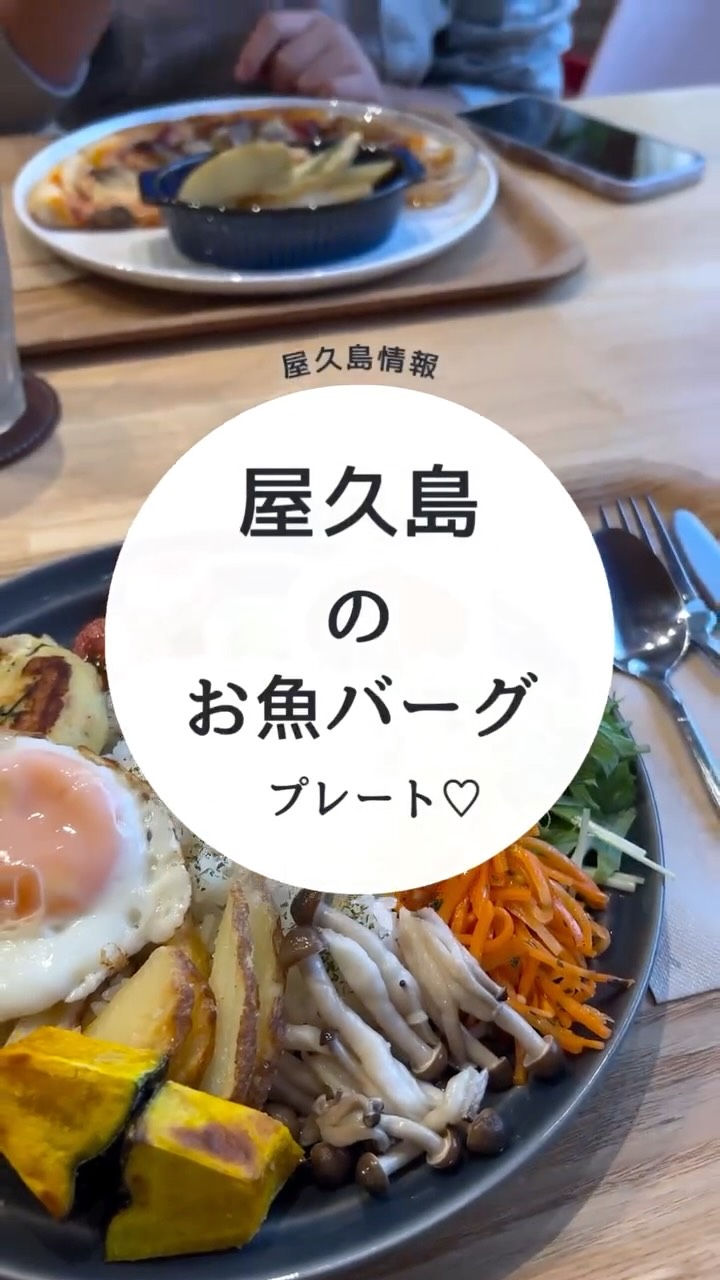 【ぷかり堂 しまなみキッチン】小瀬田
住所 :鹿児島県熊毛郡屋久島町小瀬田719-12
営業時間 : 9:00〜18:00
ドリンク&スイーツ 9:00〜17:30L.O
フードメニュー 10:00〜17:00L.O
休業日 : 木、金曜日(当面の間)
※お土産屋さんは休みなく開いています。
駐車場:あり
トイレ: あり
…………………………………………………………✺
空港近くの、素敵なお土産が豊富に並ぶ、
お土産屋さんのぷかり堂に併設されている
しまなみキッチン🏝️✨🌈
@yakushima_pukarido
屋久島!そして、鹿児島の離島の食材を使った
プレート、パスタ、スイーツ、ドリンク
がいただける、素敵なカフェです🍝🍨🥗☕️
私は、港のととやオリジナルお魚ハンバーグの
プレートが大好きです😍🐠
なんと、素潜り漁で獲った魚を使用して、
屋久島のお隣の口永良部島で
作られているそうです🐟✨
大豆ミートハンバーグか
豆腐野菜ハンバーグに変更も可能です🌱
お野菜もたっぷりで🥦🥕
こちらのプレートに付いている、
トカラ列島中之島のリリコイマスタード
を使ったソースが絶品で、とても合うのです😋
パスタは屋久島のキビナゴや鹿肉を使った
お土産屋さんでも販売しているソースを
使ったものが頂けます🍝✨
こちらも美味しいです😋✨✨✨
さらにピザ🍕もあります✨
娘は、桜島地鶏のテリマヨピザが大好きで、
いつもこれ😆
ドリンクも豊富で、
ちょっと一息つきたい時にもピッタリです☕️🍹
しかも、ぷかり堂では
空港までの送迎サービスもあるそうです✈️
空港まで徒歩圏内ですが、
雨の日や、荷物が多い時は
とっても有難いサービス🩵🩵🩵
お土産いっぱい買っても安心🥰
…………………………………………………………✺
【水の精 屋久島】
嵯峨 京子|SAGA KYOKO🧜
@mizunosei.yakushima
こちらをタップ👆
プロフィールの1番下をタップすると
ホームページにとびます🐠
フォロー嬉しいです💖
海のおそうじ🚮✨
×
【シュノーケリング 半日】1グループ貸切
8,300円/1人
7,700円/2人
6,800円/3人
【スキンダイビング 初心者コース半日】
1グループ貸切
11,300円/1人
9,900円/2人
8,600円/3人
【スキンダイビング ステップアップコース半日】
1グループ貸切
12,200円/1人
11,300円/2人
9,900円/3人
【ファンスキンダイビング半日】
7,700 円/1人
6,800円/2人
5,000円/3人
【体験ダイビング 半日】
1グループ貸切
12,200円/1人
11,300円/2人
9,900円/3人
お支払いは現金のみです🌺
𓆉𓈒𓂂𓏸𓆟𓏸𓂂𓈒𓈒𓂂𓏸𓆜𓆝𓆞𓏸𓂂𓈒𓈒𓂂𓏸𓆉𓏸𓂂𓈒𓂂𓏸𓆟𓏸𓂂𓈒𓇼
#水の精
#屋久島暮らし
#水辺の事故ゼロを目指してます
#楽しく安全に海遊び
#人が入れば入るほど海を綺麗に