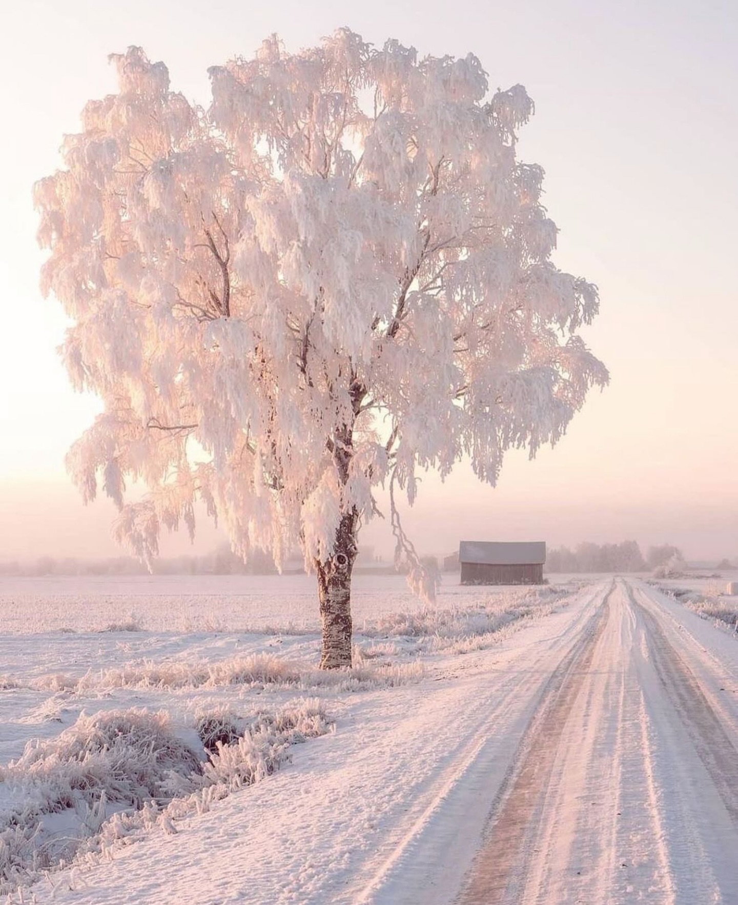 For a beautiful day
