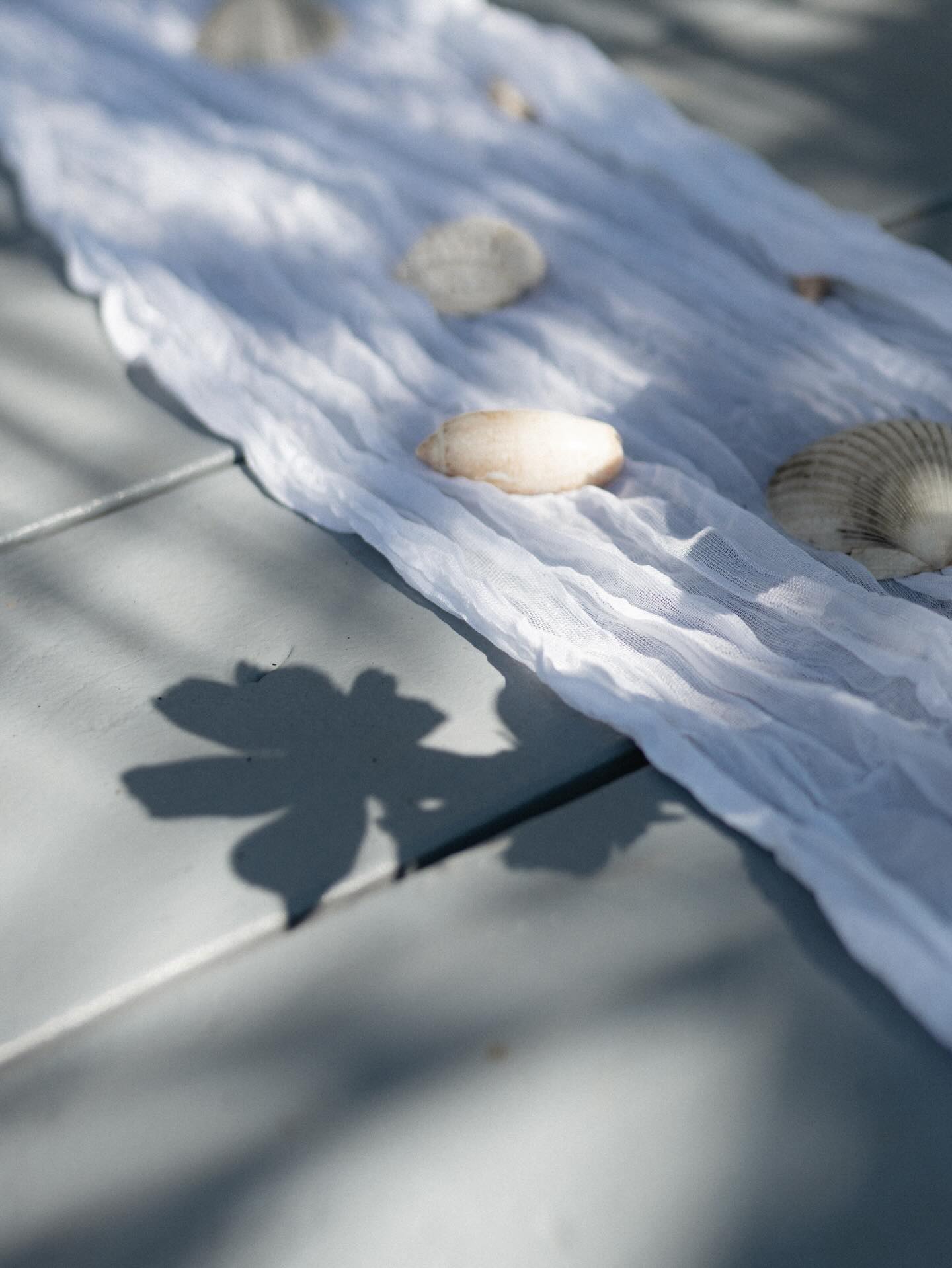 just some wedding details i love 💕
#floridaweddingphotographer #travelweddingphotographer #weddingdetails #alynnephotography