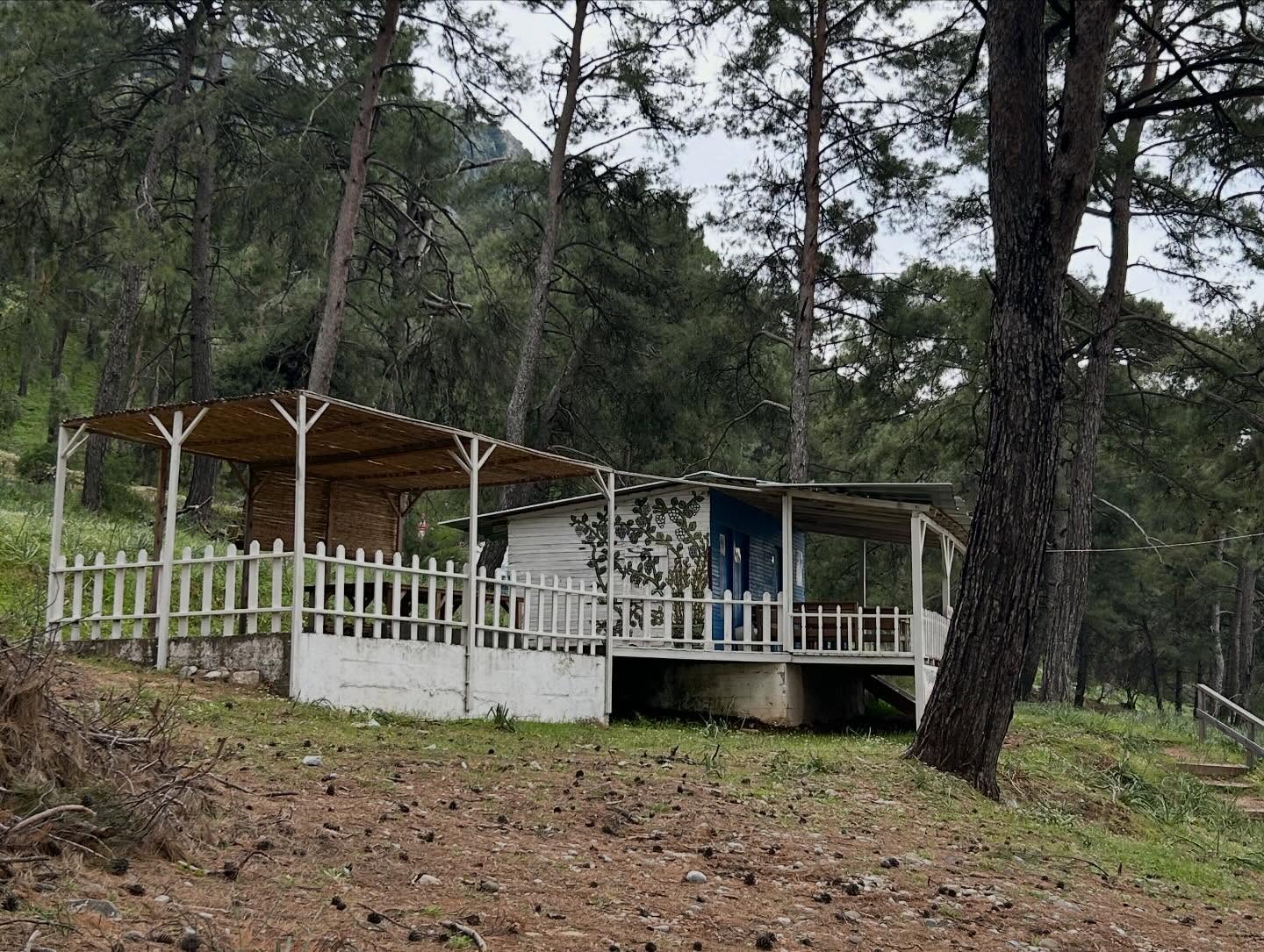 Bölgede faaliyet gösteren STK’larla yapılan iş birlikleri kapsamında, Kaptan June’un mirasını korumak ve gelecek nesillere aktarmak amacıyla Kaptan June Vakfı ile ortak bir çalışma başlatmış bulunmaktayız.
Sürecin ilk adımı olarak gerçekleştirdiğimiz saha ziyaretinde, Kaptan June’un barakasında onarılması planlanan alanlar yerinde incelenmiş ve onarım ihtiyaçları tespit edilmiştir. İncelemelerin ardından, DEKAMER’e de nezaket ve istişare ziyareti gerçekleştirilmiştir.
Yerel değerlerimize ve çevresel mirasımıza sahip çıkmaya devam ediyoruz.