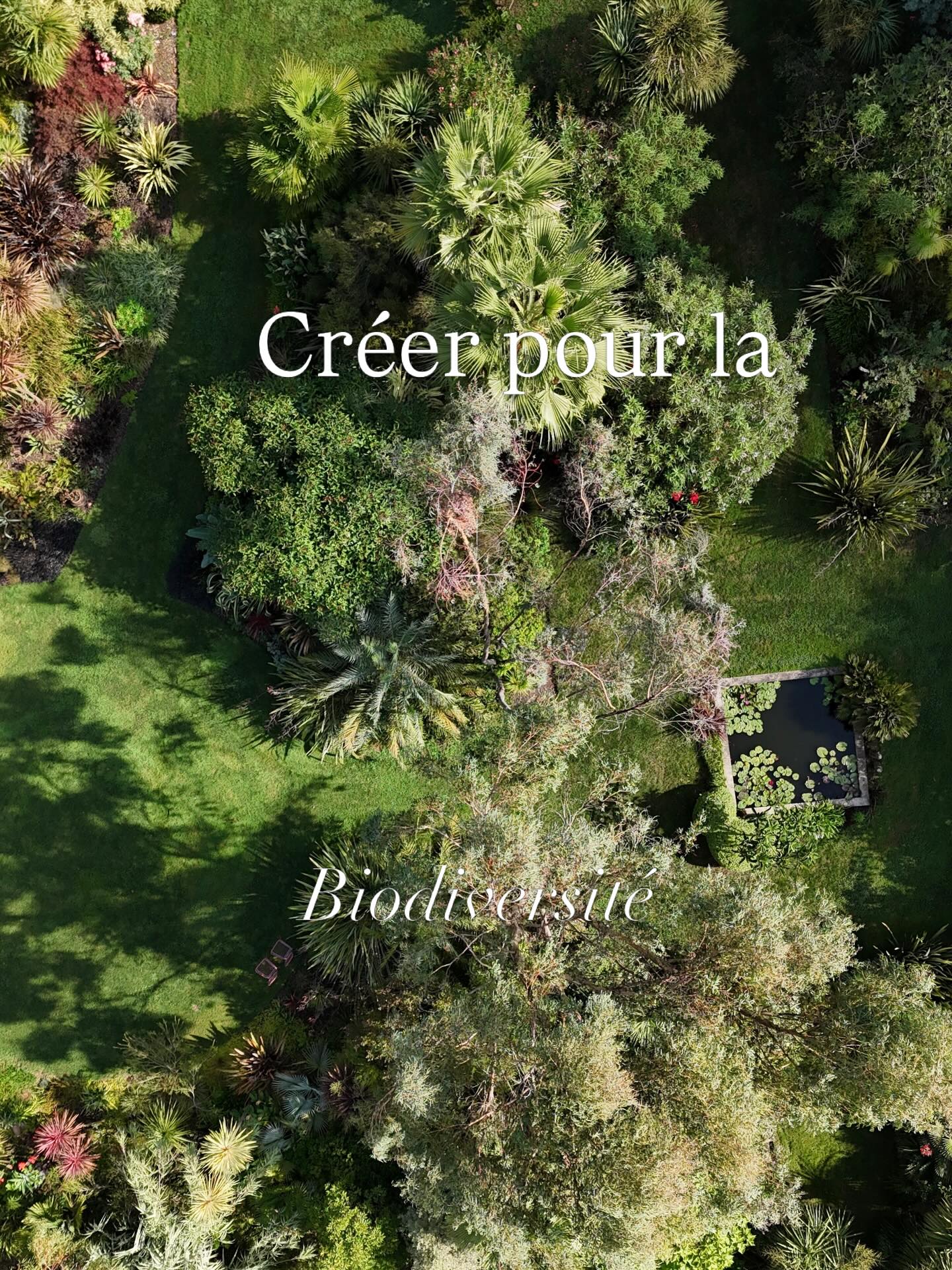 Un peu comme obélix je suis tombée non pas dans la potion magique mais dans la passion du végétal
🌱je voulais un graaaand jardin pour y mettre pleeein de plantes et me voilà transformée en 10 ans en boulimique de végétaux si possible exotiques
👨🌾pas toujours facile de tenir tout ce petit monde sur 5 hectares mais en tout cas c’est passionnant
🌱je n’ai pas un tempérament téméraire et pourtant je l’ai été et sans hésitation pour me lancer dans la création de ce grand jardin botanique commencé en 2015. La terre nue s’est transformée en jardin avec de la fraîcheur de la verdure des fleurs pour les abeilles de la beauté pour les yeux et de l’espoir pour le cœur
👨🌾créer son jardin n’est pas rien n’est pas juste un hobby c’est créer de la vie
Transformer un champ vide en un jardin où la biodiversité est réapparue est ma grande fierté 🌞🌴
Jardin des barthes classé remarquable sud des landes portes du pays basque ouverture le 25 avril
#jardin #gardenlove #jardinexotique #gardening #biodiversité