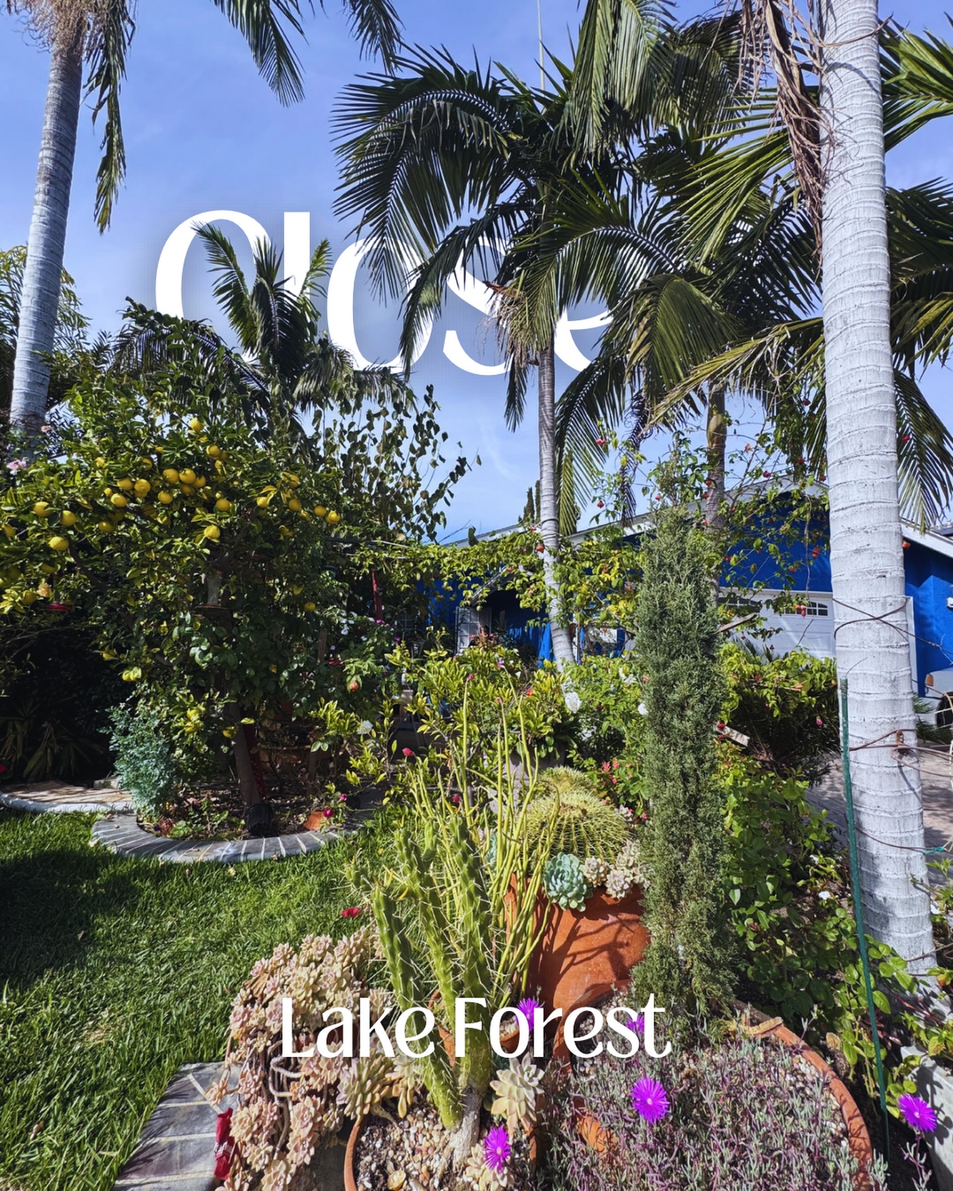 ✨CLOSED✨
My amazing buyers were in search of a single family home in the lake Forest, Mission Viejo area around the low $1M. They were very much comfortable with the fact that it was most likely going to be a fixer! We found this tropical beauty and decided to go after it. Of course the home had multiple offers- being an investors dream. However, we were able to beat out the competition without going over asking price PLUS I secured additional seller credit $$ for my buyers during escrow. What a win!!🏆
I’ve been privileged to watch this home transform room by room through progress pics😍. Excited to see the finished product in the coming months! Congrats again E and J🎊🏡
Ready to Buy or Sell in OC, Click the link in my Bio and Book a 1:1 Call📱with me to get started! I’d love for us to chat!
🙋🏽♀️ ChiChi Achara, SoCal REALTOR
📲 949-545-4309
📧 SocalRealtorChi@gmail.com
🌎 www.chichiachara.com
📍 Orange County, CA
#justclosed #lakeforestca #lakeforestcalifornia #orangecountyrealtor