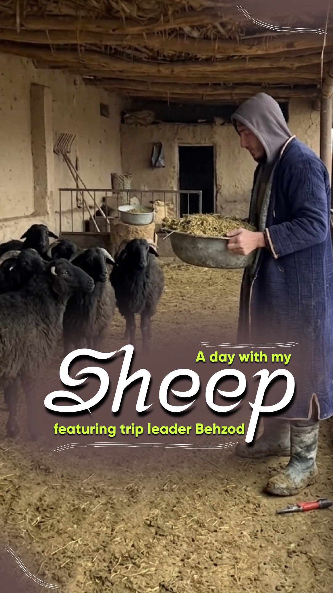 Our trip leader Behzod grew up in shepherd community in Uzbekistan’s rural Nuratau region. Growing up, he had to tend to his sheep and livestock first thing in the morning, before going to school 🐑🐐
