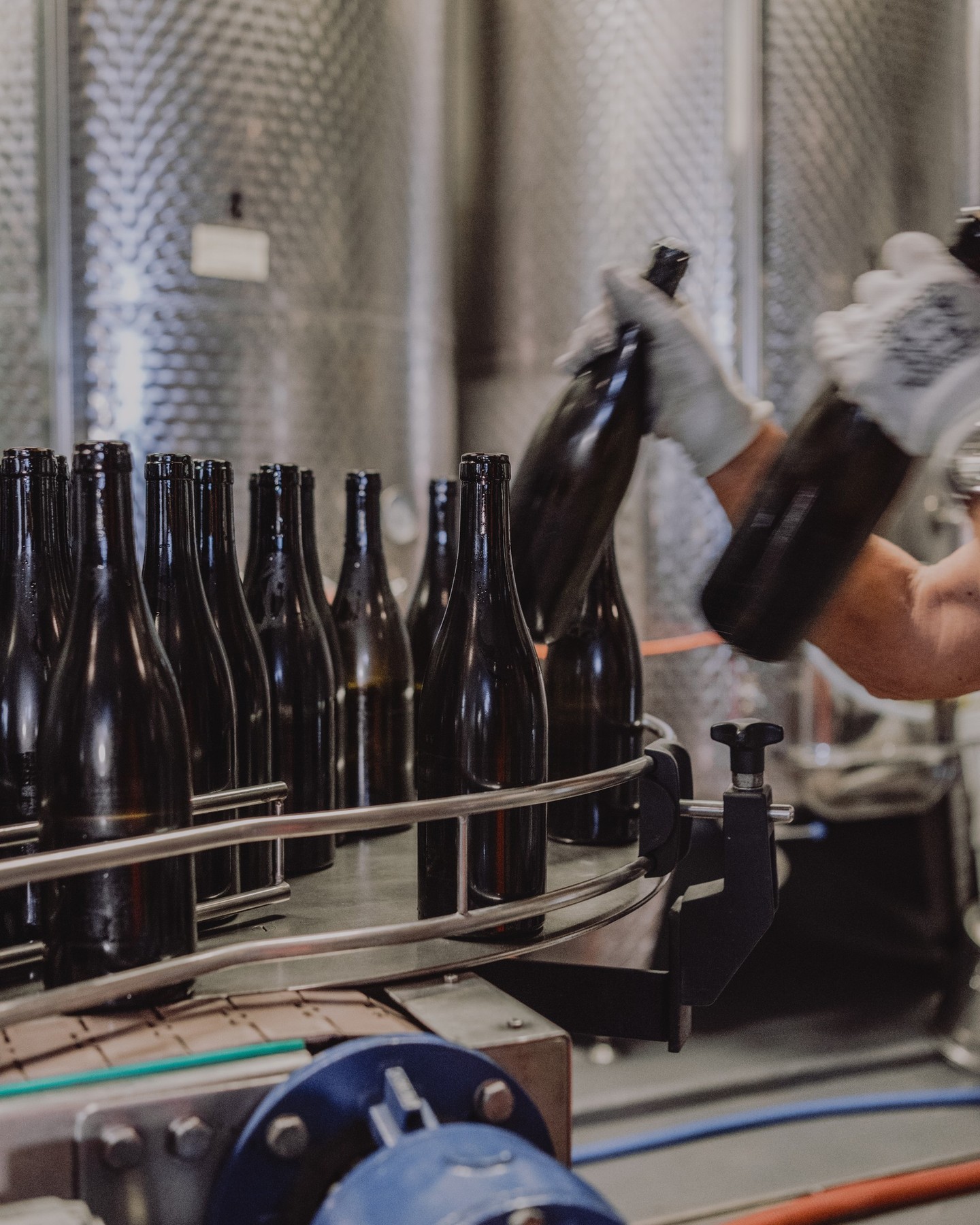 Unser PINOT NOIR LE PETIT 2024 ist abgefüllt und bald für euch erhältlich.
#WeingutromanHermann #Fläsch #trophy #Weinraritätflaesch #graubuenden #falstaff #graubuendenwein #wein #weinguthermann
