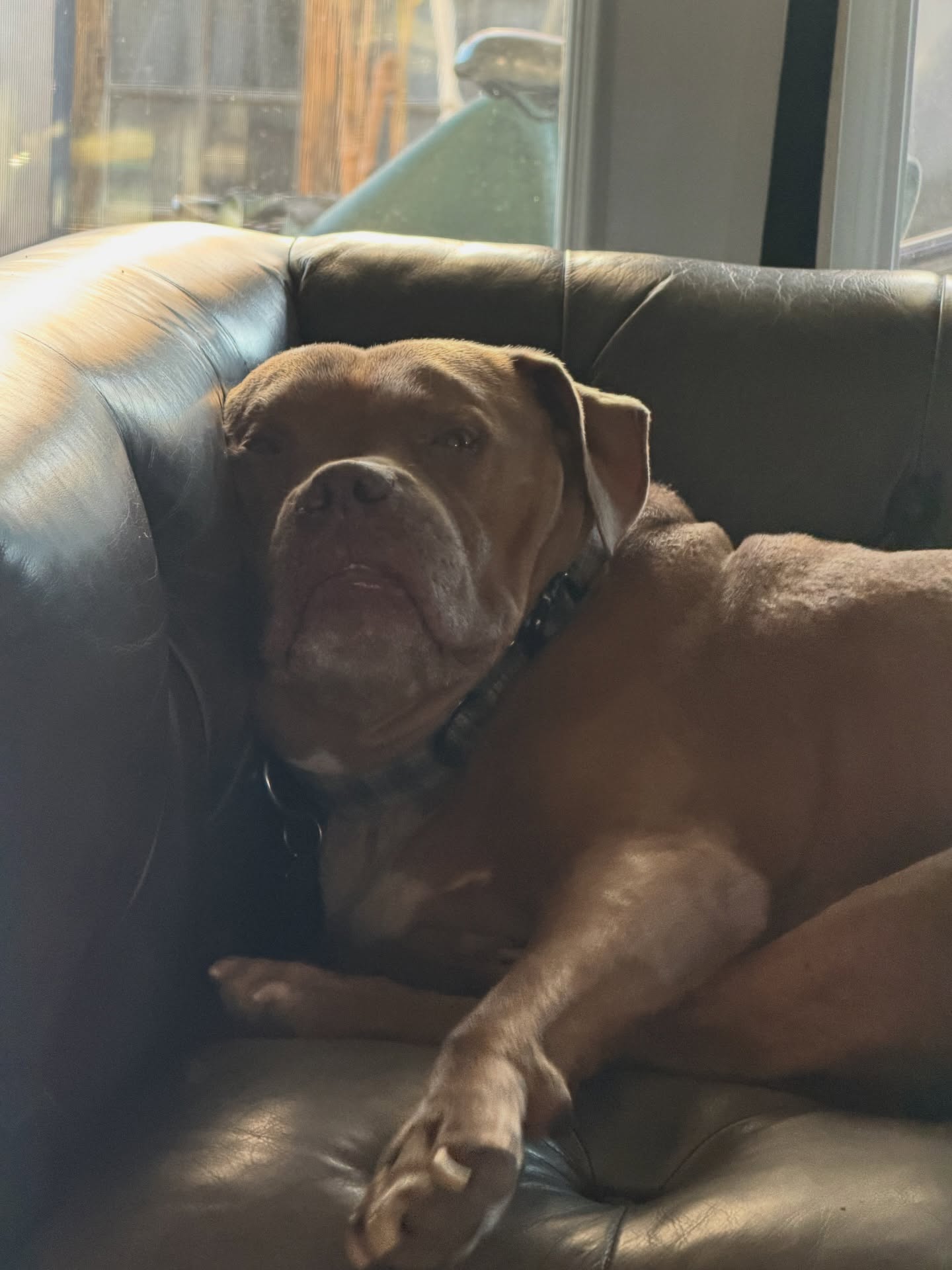 Good morning from 🐸 (aka Johnny). How’s your day starting?