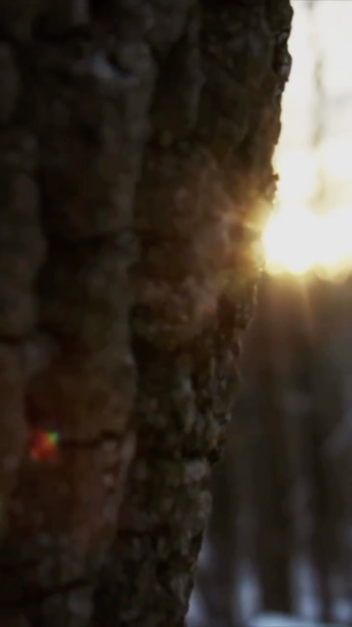 What a weekend!!
things spring… sun, mud, fresh air, and getting out where we belong ☀️🌲 ☕️ 🔥 🏕️
#tacticaloverland #overlandlife #adventuretrailer #adventureawaits #albertacamping