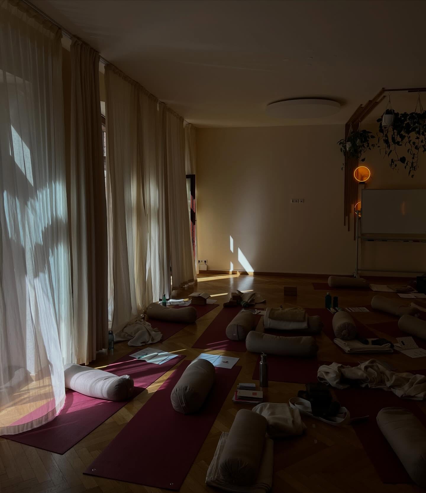 Recap Yin Yoga 2.0 Weiterbildung 😏🤝
Als ich die Ausbildung damals konzipiert habe, war mir nicht klar, dass so viele Menschen die gleichen Fragen haben, die ich damals hatte.
Vieles von dem, was ich irgendwann mal gelernt habe oder in Yoga-Büchern gelesen habe, hat nicht unbedingt zu dem gepasst, was ich durch andere Bewegungspraktiken gelernt hatte.
Womit ich auch nicht gerechnet habe: dass so viele Menschen tatsächlich Interesse an einer kritischen und wissenschaftlichen Perspektive haben.
Dass die Ausbildung jetzt zum dritten Mal in Folge ausgebucht war, freut mich und macht mir gleichzeitig Hoffnung, dass sich in unserer Yoga-Branche weiterhin Raum für eine kritischere und fundierte Auseinandersetzung entwickelt.
Wer ist nächstes Jahr dabei???
#yinyoga#yogascience