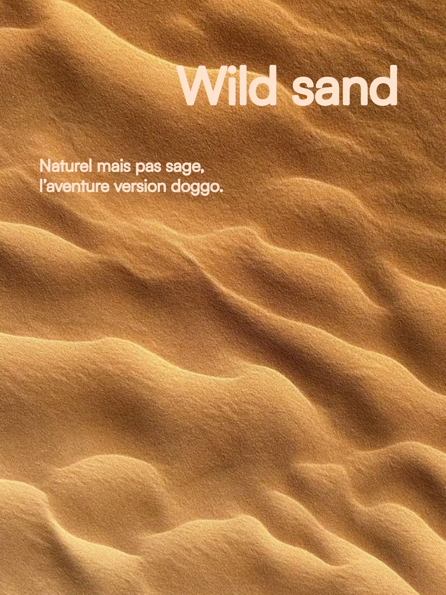 Wild Sand 🏜️
Libre. Instinctif.
Nouée à la main.
Pensée pour les duos qui préfèrent explorer
plutôt que suivre.
06/08