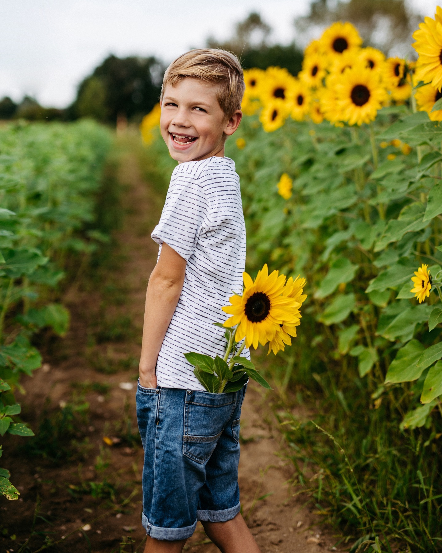 #sunflowershooting #sunflowerfield #sonnenblumenfeld