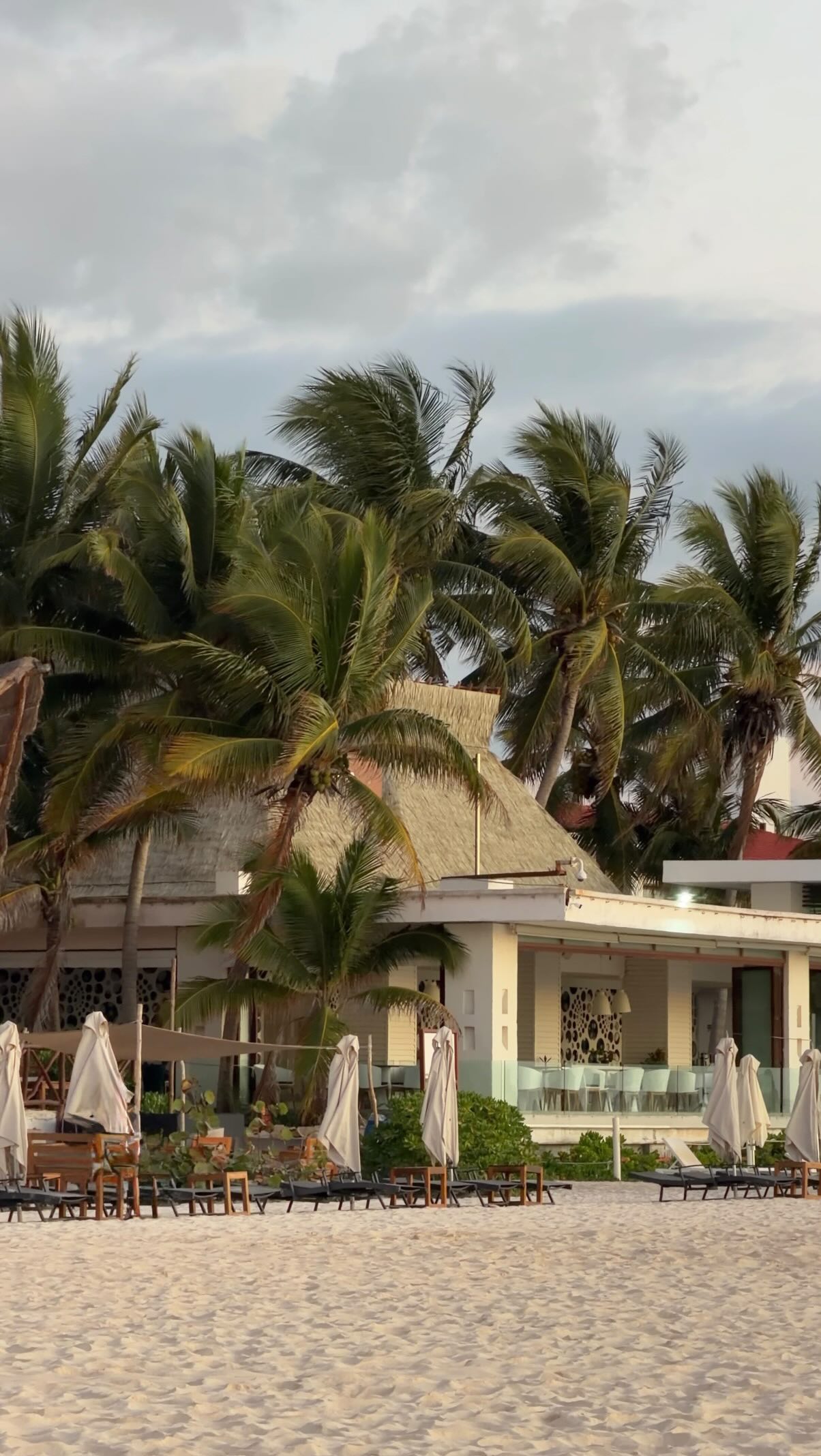 Some girls are born with saltwater in their veins 🩵🌊🐚🧜🏼♀️🌺🌴☀️🐠🥥