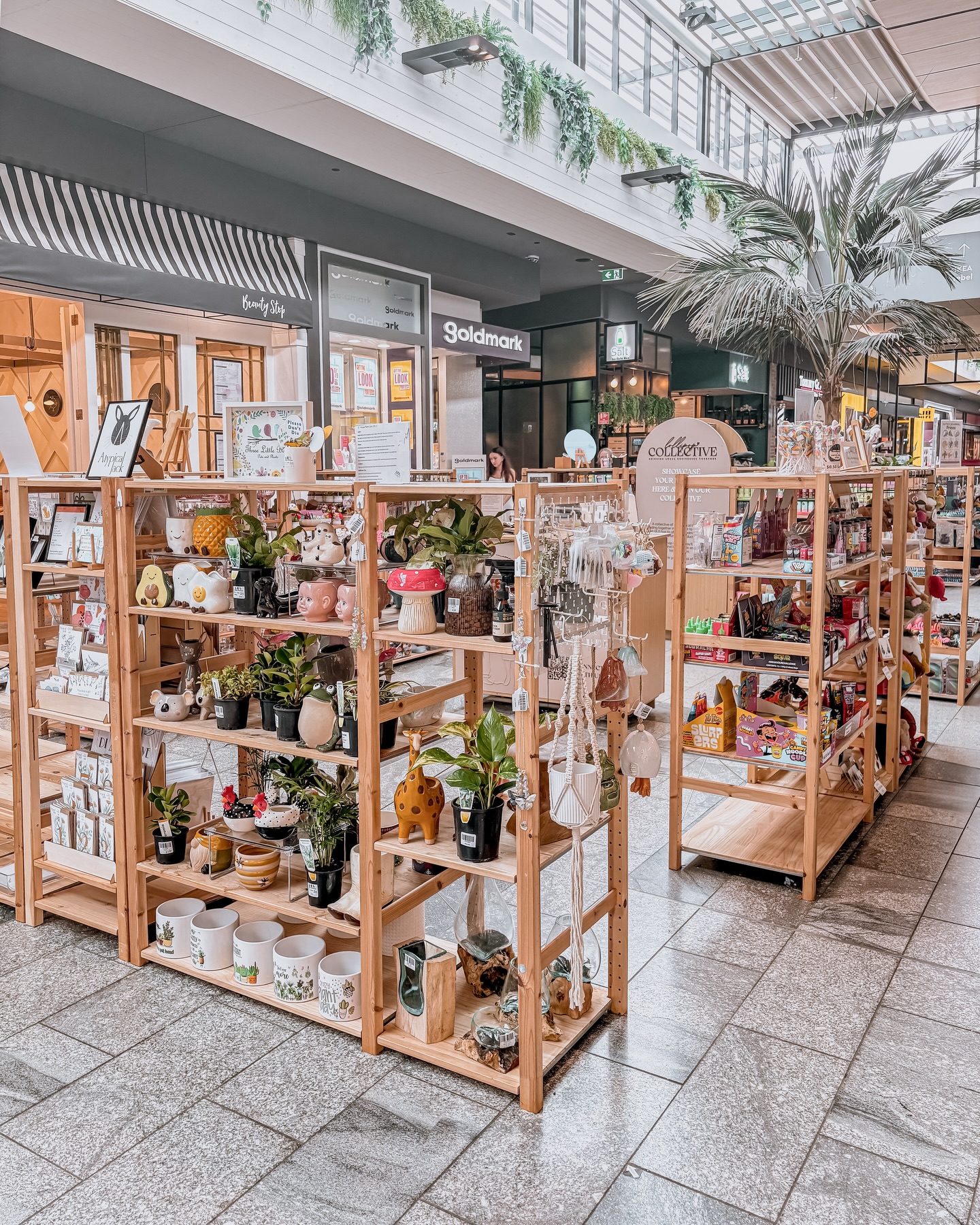 Autumn is here and honestly? It’s the perfect excuse to get inside and shop small. 🧡
We have 19 stores across Australia, each one packed with incredible small businesses you won’t find anywhere else. 🛍️✨
📍 Find us here
🌸 South Australia
Westfield Marion · Westfield West Lakes · Westfield Tea Tree Plaza · Myer Centre Rundle Mall
💜 Victoria
Westfield Southland · Northland Centre · Watergardens Centre
⭐ Queensland
Westfield Chermside (Level 1 & 2) · Westfield Carindale · Westfield North Lakes · Westfield Coomera · Pacific Fair · Westfield Mt Gravatt · Westfield Helensvale
🧡New South Wales
Westfield Penrith · Castle Towers · Rouse Hill Town Centre · Westfield Eastgardens
Whether the nights are cooling down in Melbourne, Sydney’s air is getting that crisp autumn feel, or Queensland is finally easing off the heat, there’s a Lollipop Collective near you. 💓
Calling all small biz owners 💌
We have spaces available across Australia and we’d love for you to be part of it. Whether you’re just starting out or ready to grow, this could be your next chapter.
DM us to find out more. 🌟