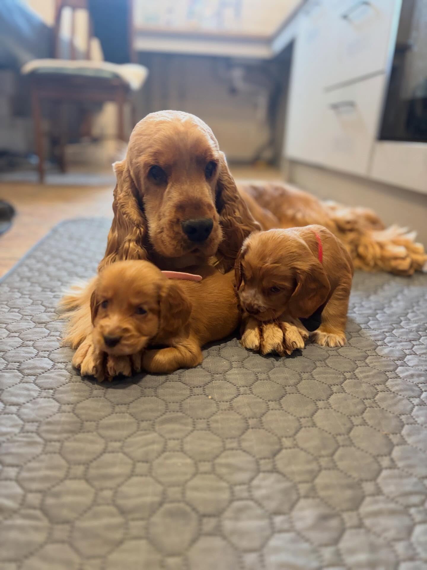 The best Dad! ❤️