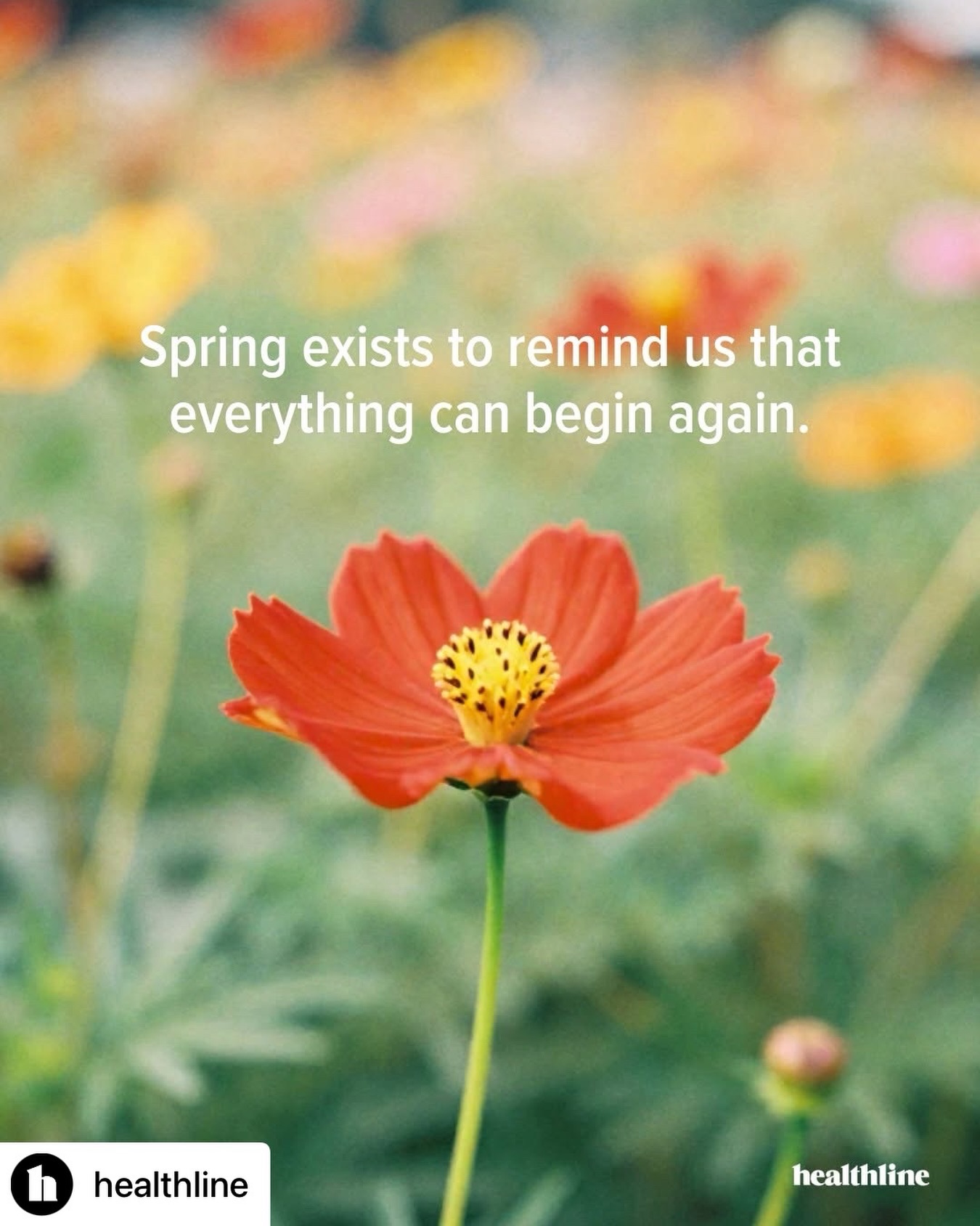 ðŒ Spring is natureâs way of showing us that no matter how long the winter, growth is always possible. Whether itâs a new habit, a fresh perspective, or a total reset, spring is a good time to begin again.
Whatâs something youâre hoping to start this season? Share your spring goals belowð
Repost @healthline
#spring #springseason #mantra #newbeginnings