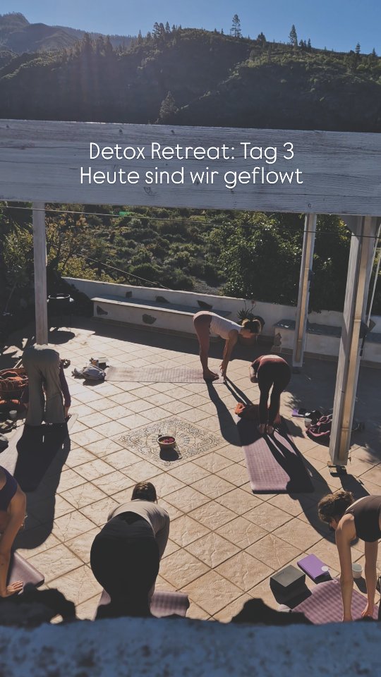 Unser Detox Retreat 🌱
Tag 3:
FLOW
#detoxretreat #yogaretreatteneriffa #selfcare