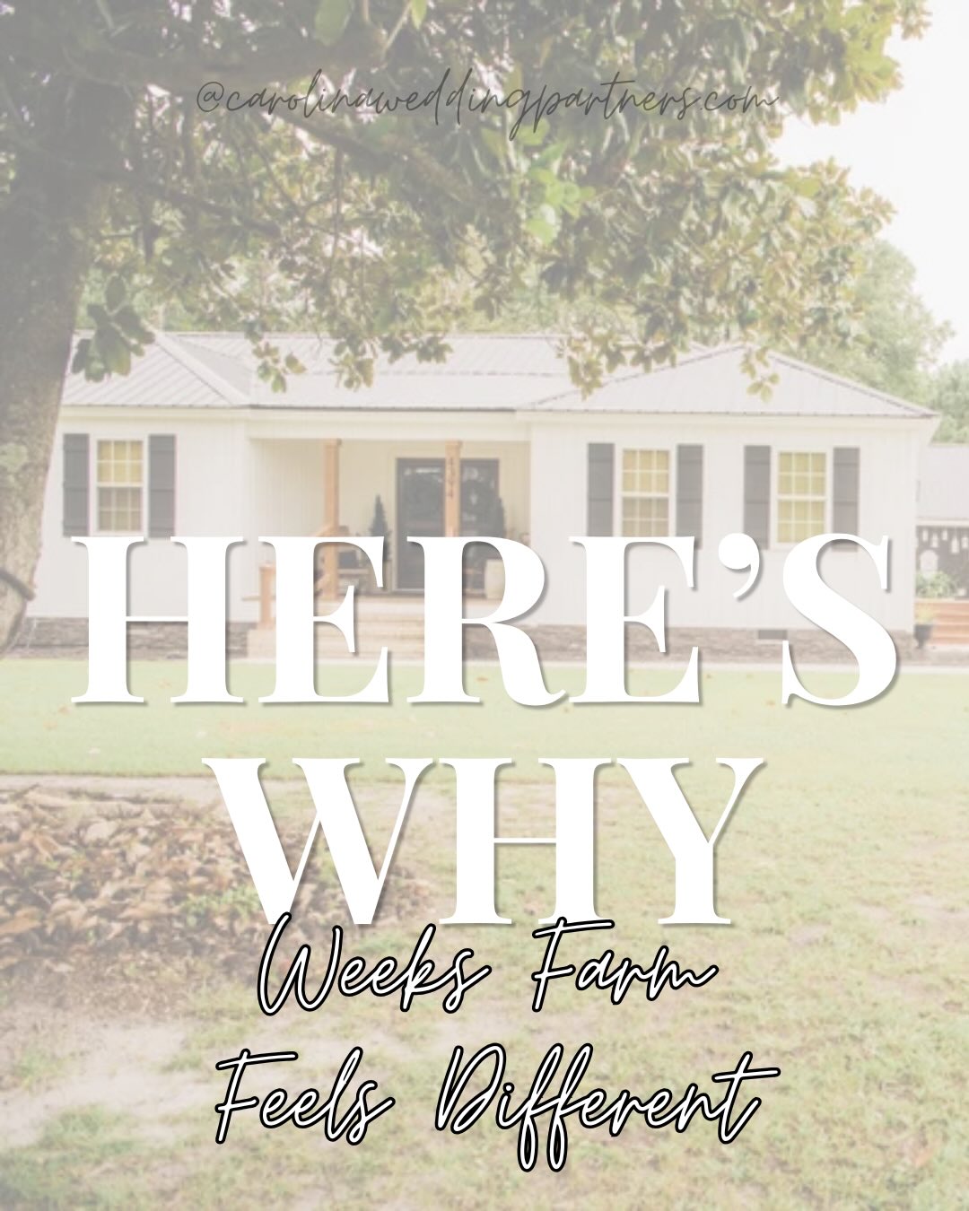 Some venues host weddings, @weeks.farm creates an unforgettable experience 🥂✨
Nestled in Ocean, North Carolina — this thoughtfully curated property blends history, charm, and warm hospitality to create celebrations that feel effortless, elegant, and deeply personal. It’s a place designed for couples to slow down, be present, and savor every moment 🩵💍
Comment “DIRECTORY” below to learn more about Weeks Farm and explore our Preferred Vendor Directory.