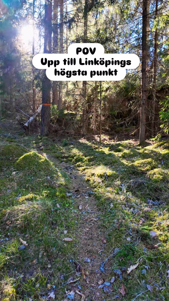 Linköpings högsta punkt ligger i skogarna utanför Ulrika, nära gränsen till Kinda och Boxholm kom...