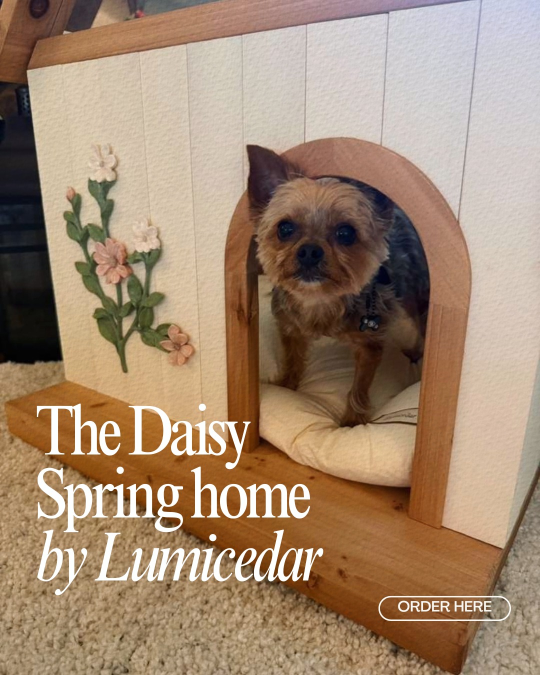 Joshua didn’t ask permission…
he just upgraded his living situation. 🐾😂
Meanwhile, we’re out here overthinking every move.
Maybe it’s not about timing…
maybe it’s about deciding.
Softest little upgrade he’s ever claimed—
and honestly? I get it.
If your space doesn’t feel like yours yet… this might be your sign.
Code: RENEE15 if you end up loving it too 😉
👇 Are you making moves this year or still waiting?
#YorkieLife #DogMomLife #HomeVibesOnly
#LumiCedar #HomeUpgrade #CozyLiving #PetLifestyle #DogLovers
#RealEstateMindset #InvestInYourSpace #FirstHomeFeels
#SmallDogBigPersonality #YorkieMom
#HomeInspiration #LevelUpYourLife #DreamHomeEnergy